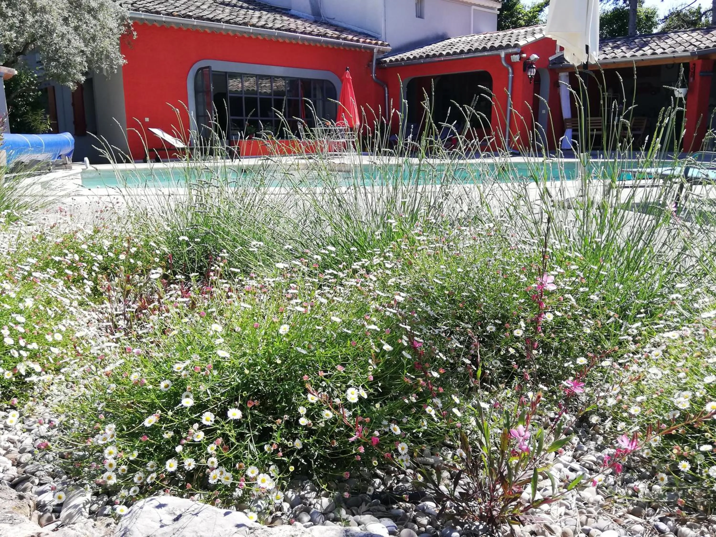 Pool view in Le mas de la diligence