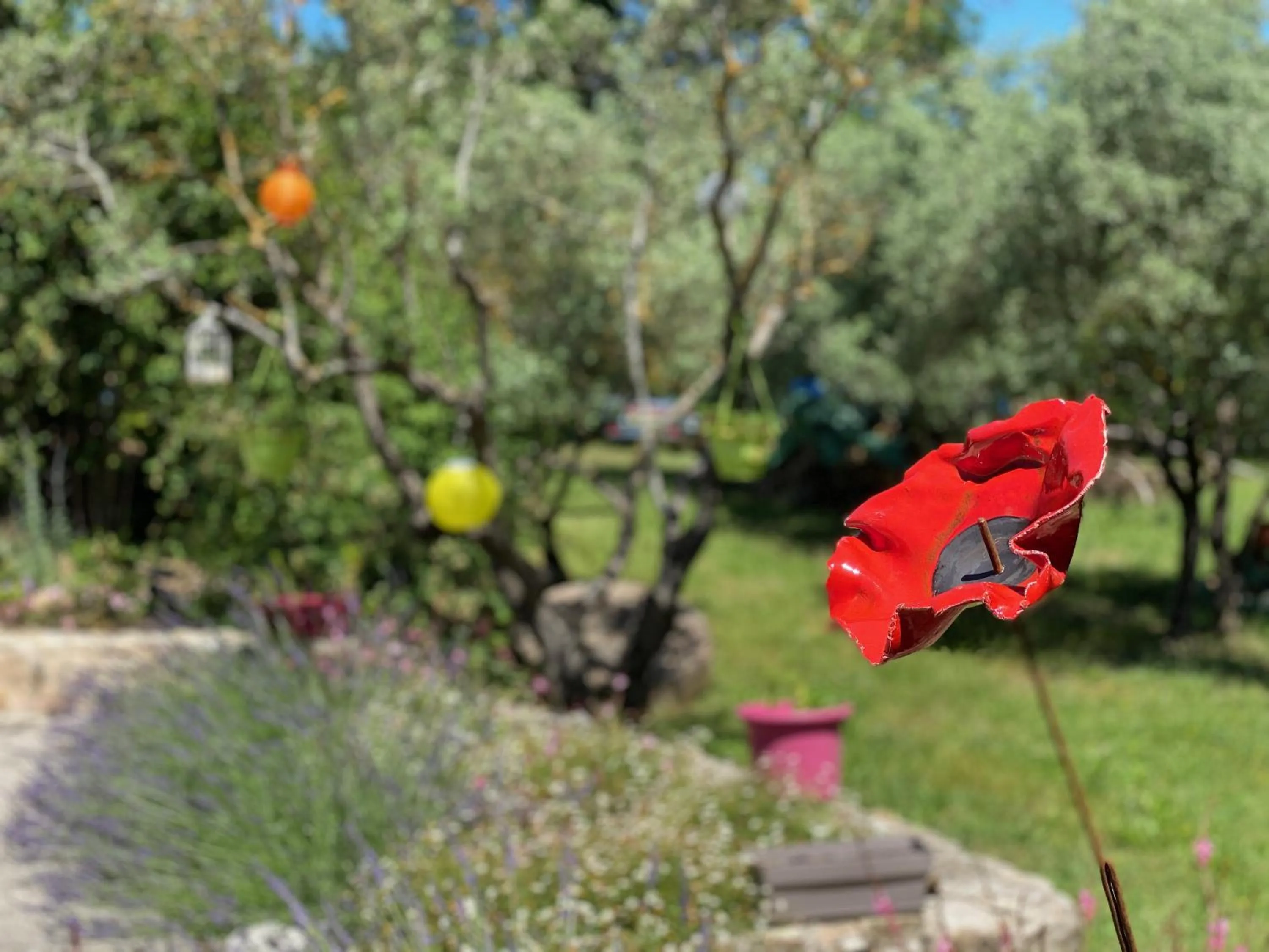 Garden view in Le mas de la diligence