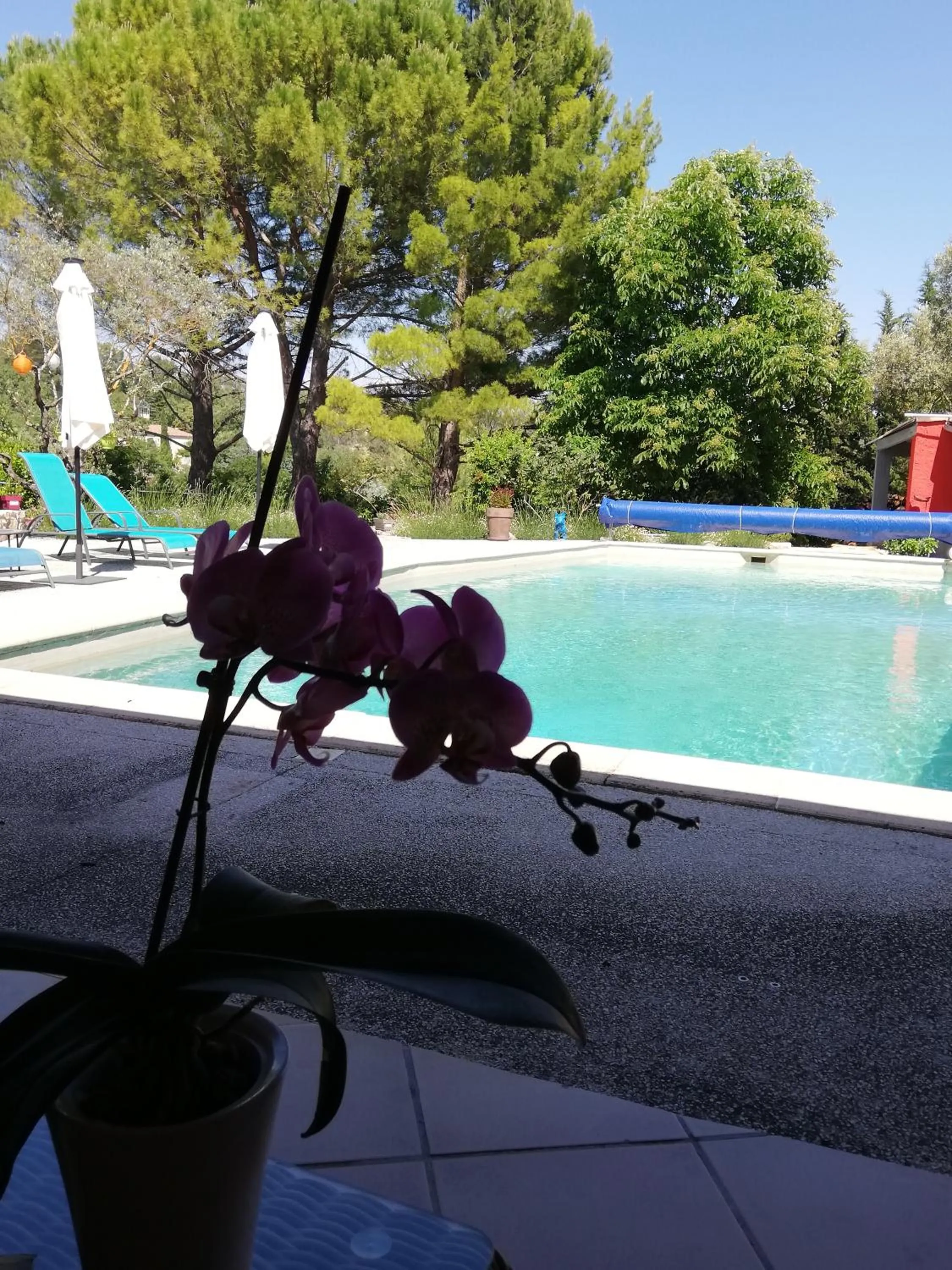 Pool view in Le mas de la diligence