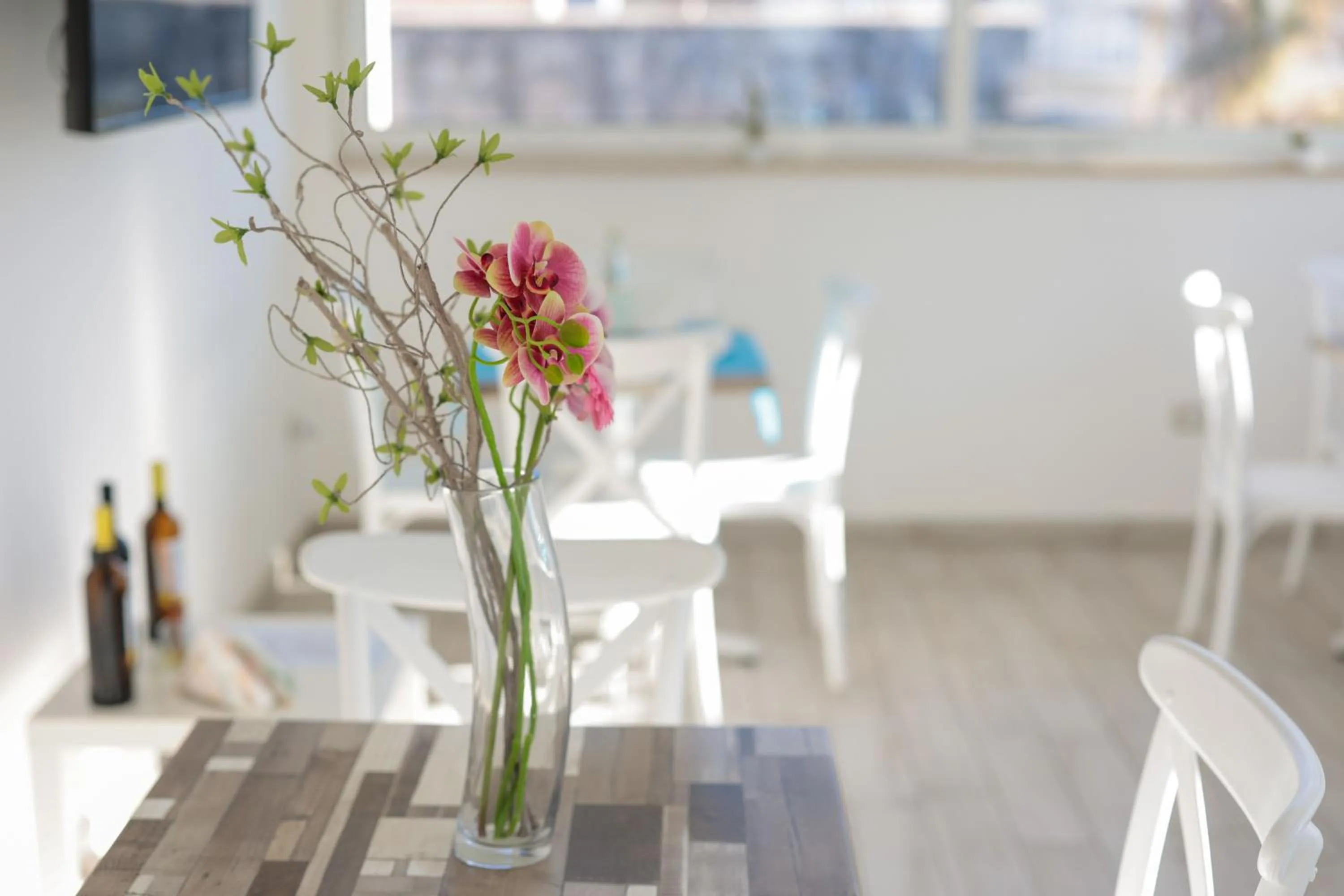 Restaurant/places to eat in Fuori Rotta