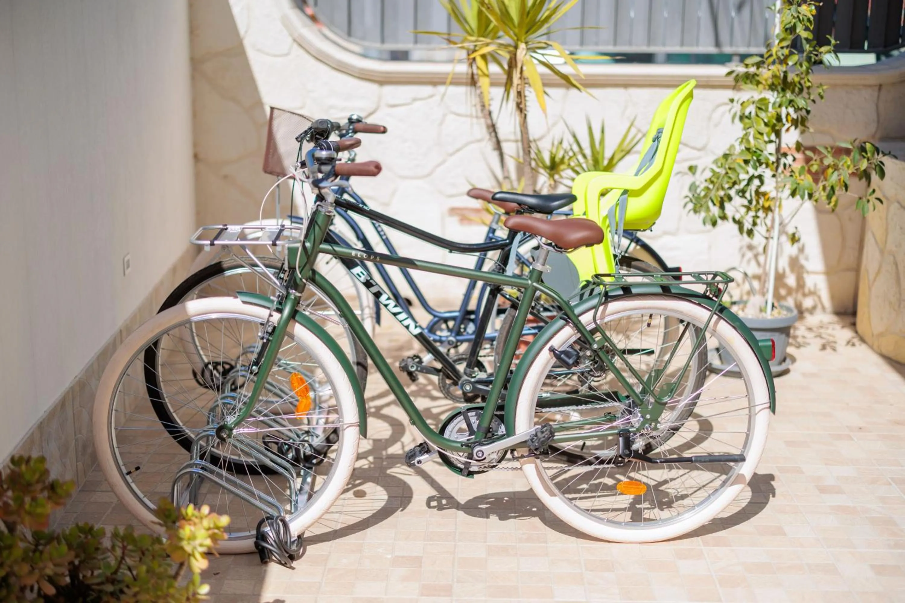 Activities in Fuori Rotta