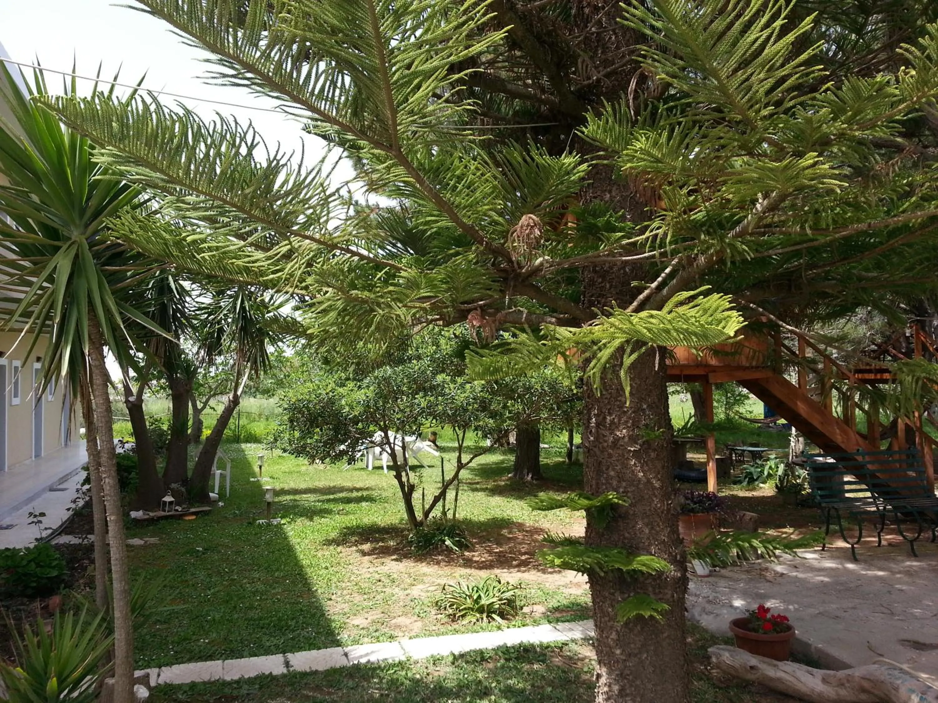 Garden in Gongis Studios