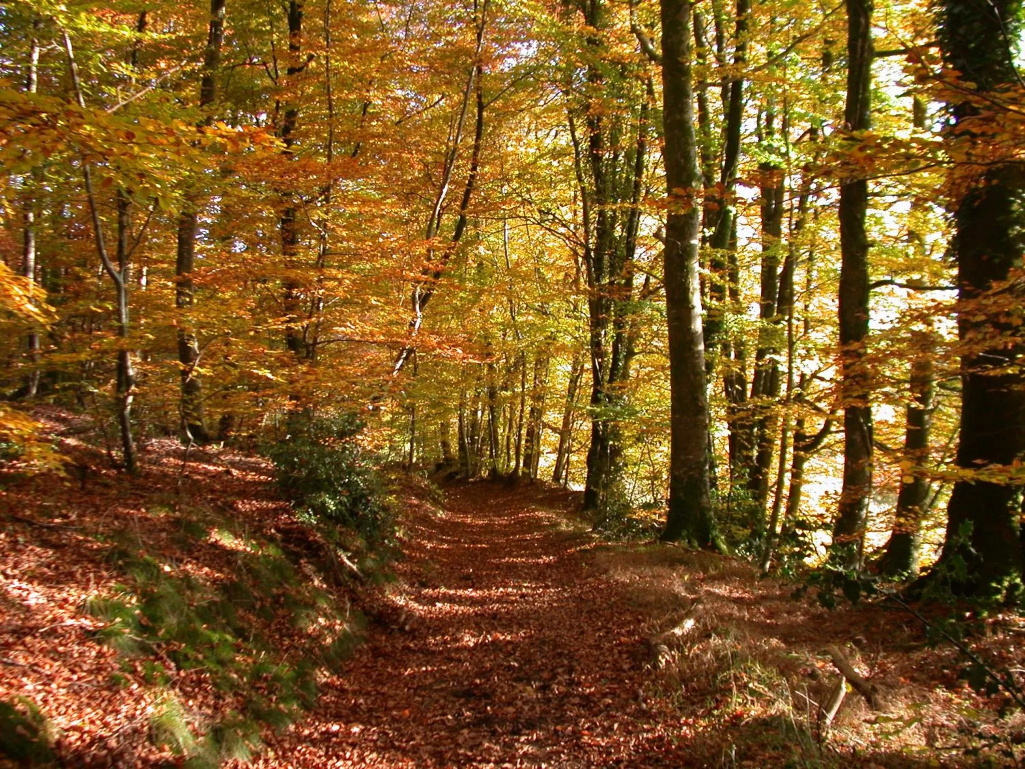 Hiking in Résidence b'o cottage - b'o resort thermal & spa