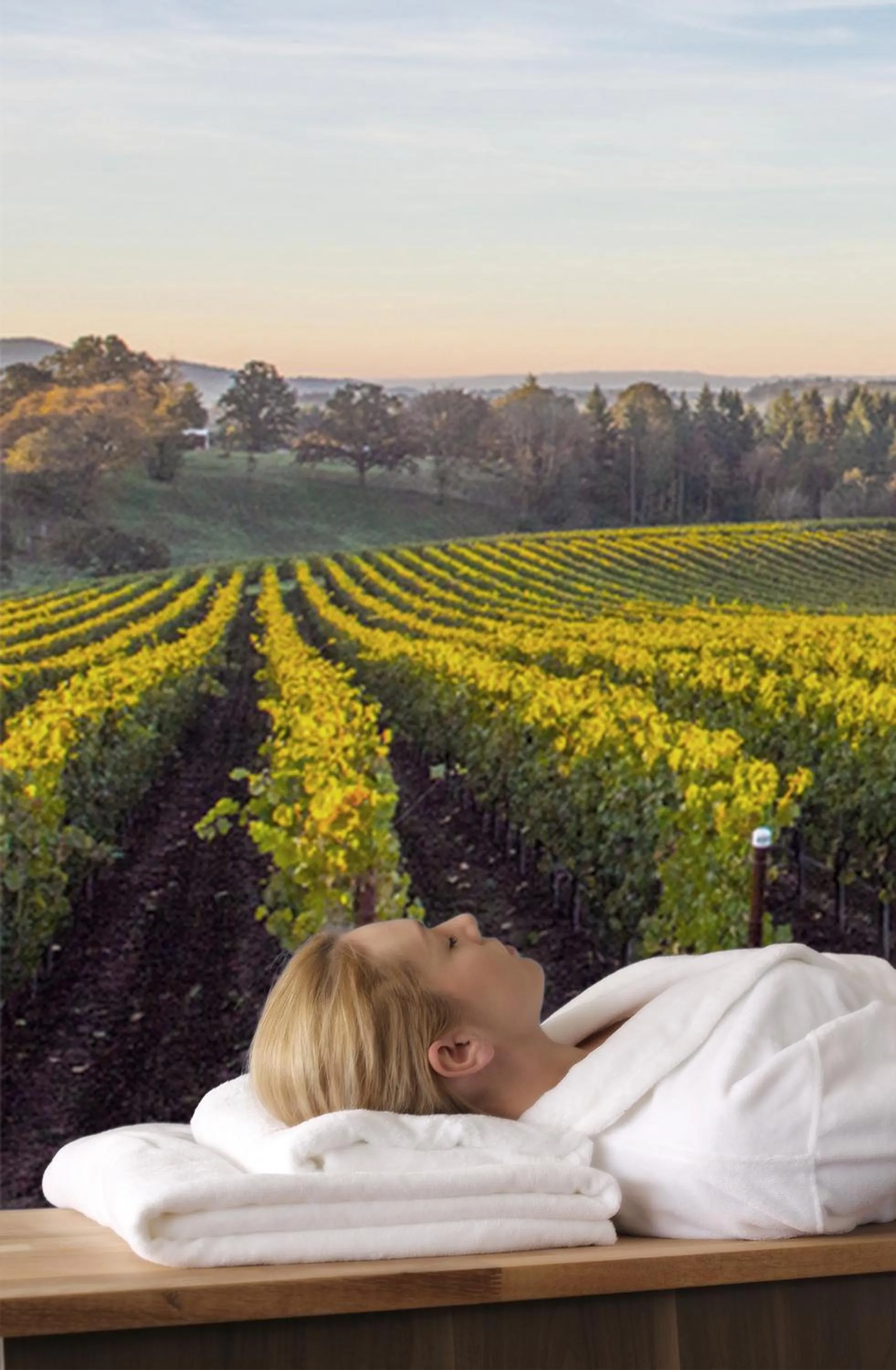 Les Maritonnes Parc & Vignoble