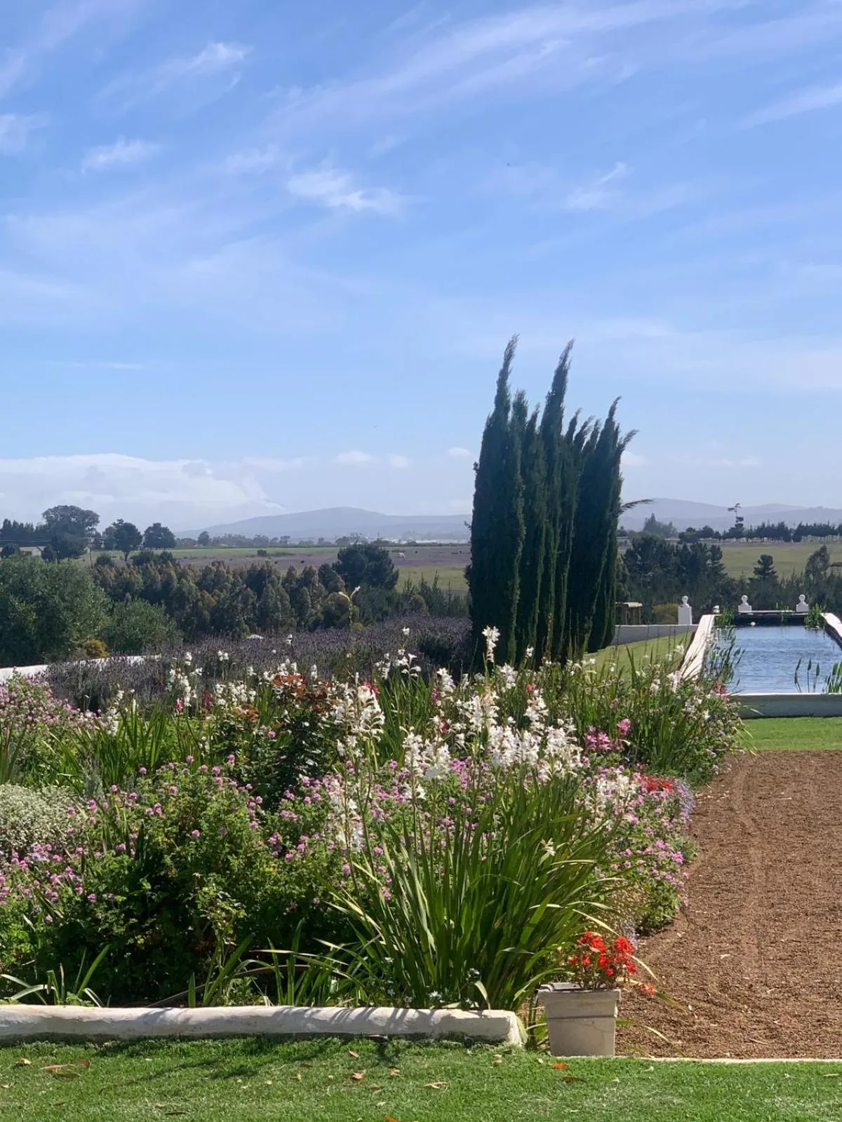 Garden view in Hawksmoor House
