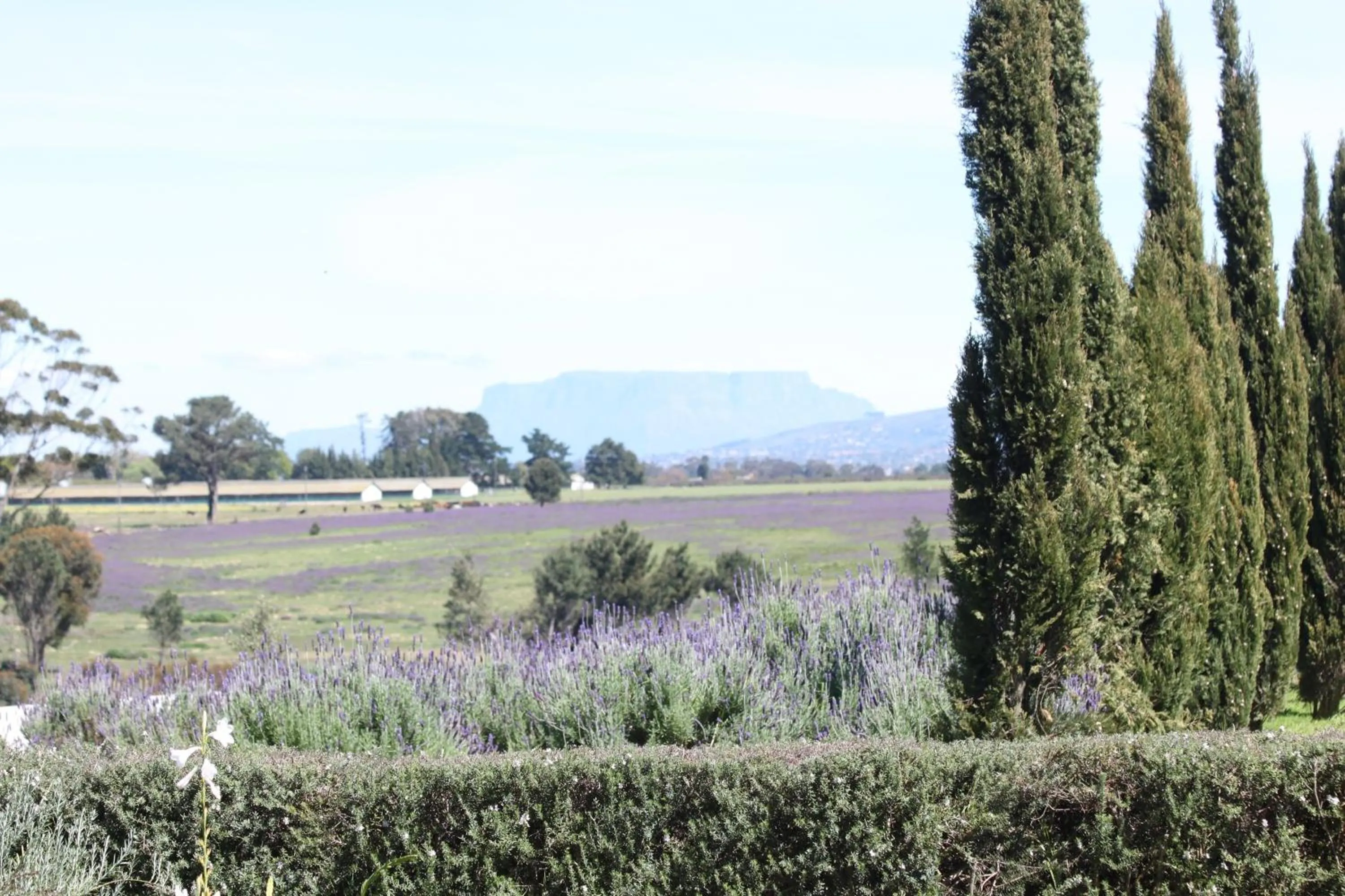 View (from property/room) in Hawksmoor House