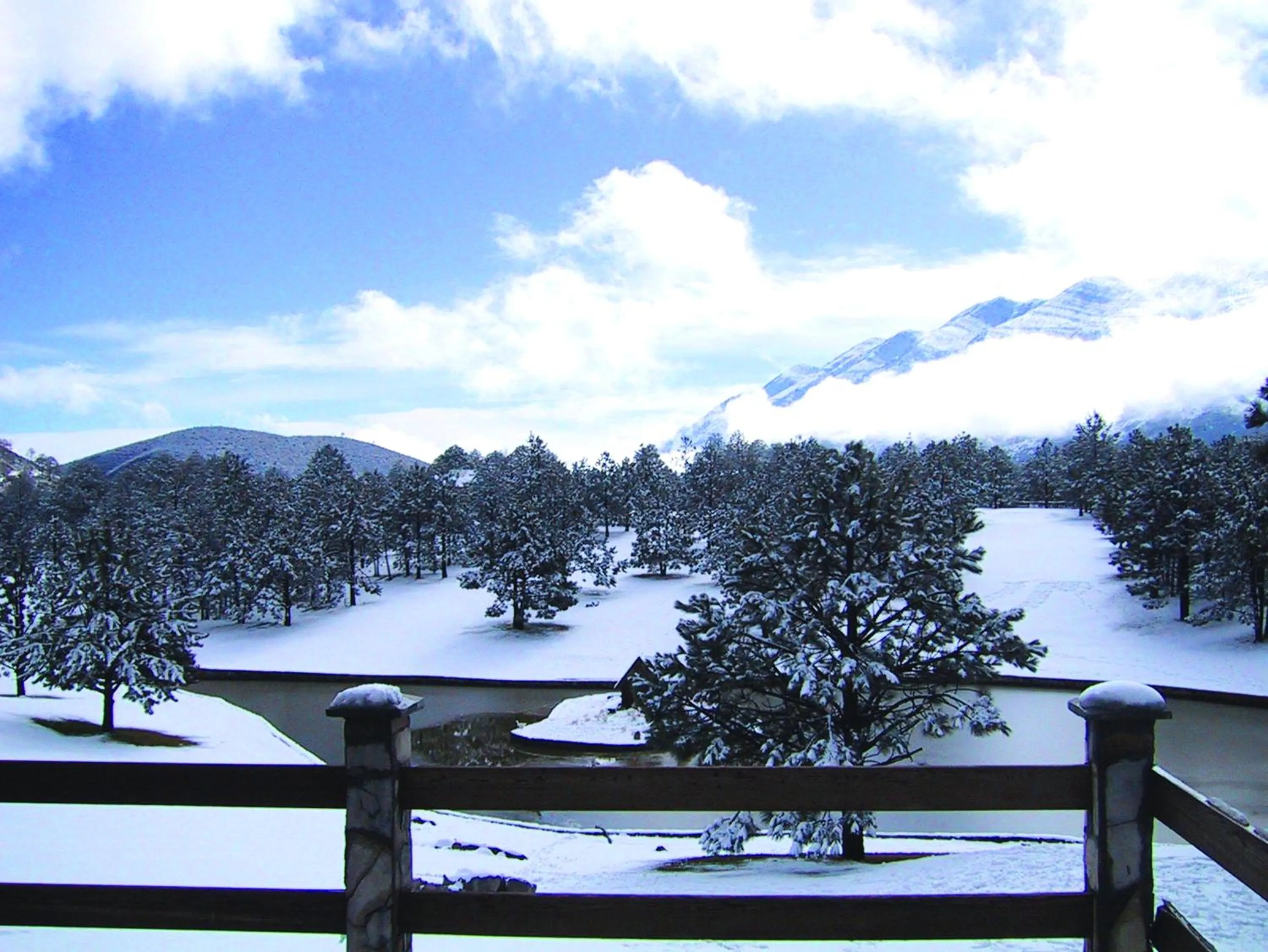 Winter in Bosques de Monterreal