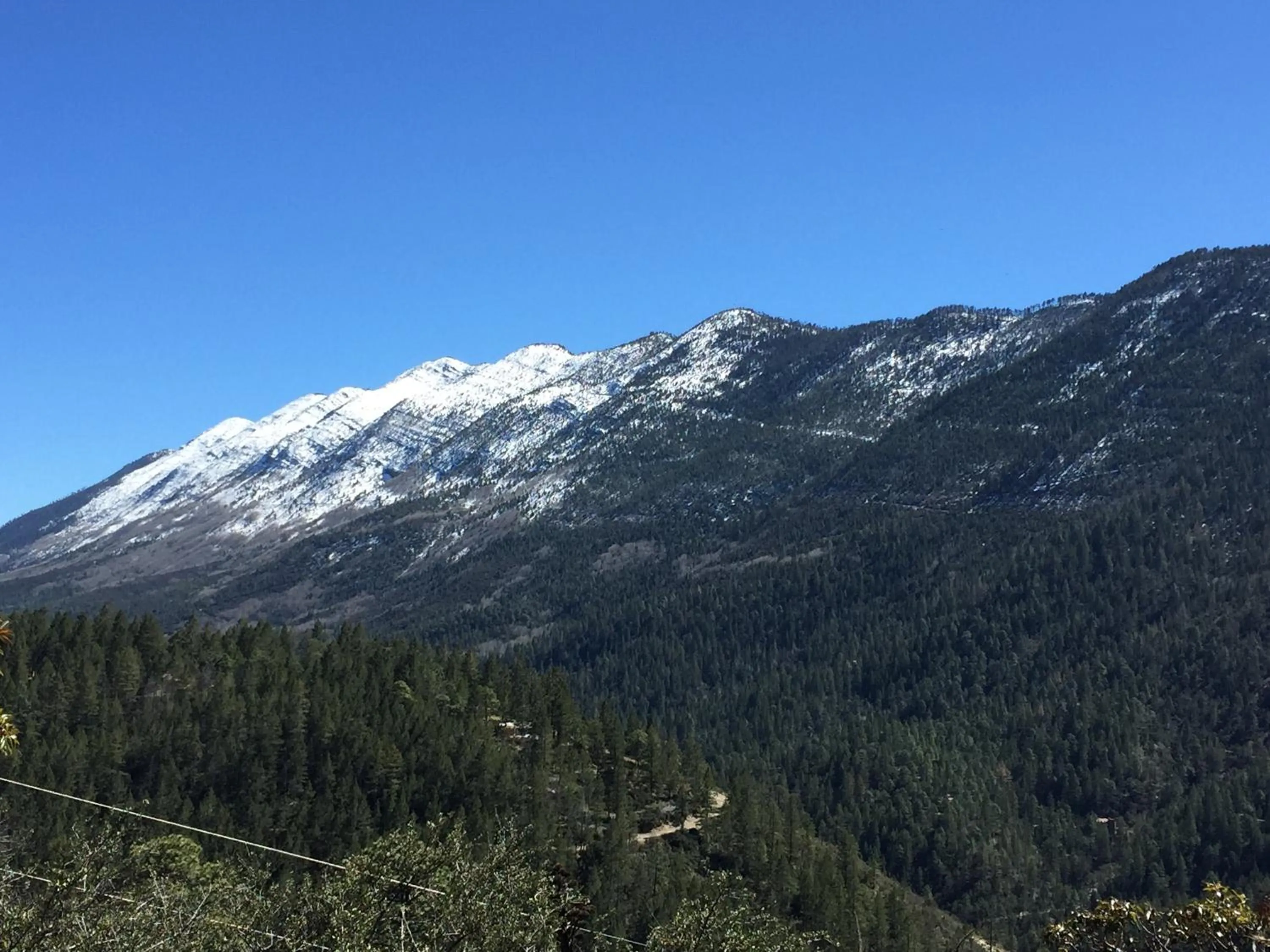 Winter in Bosques de Monterreal