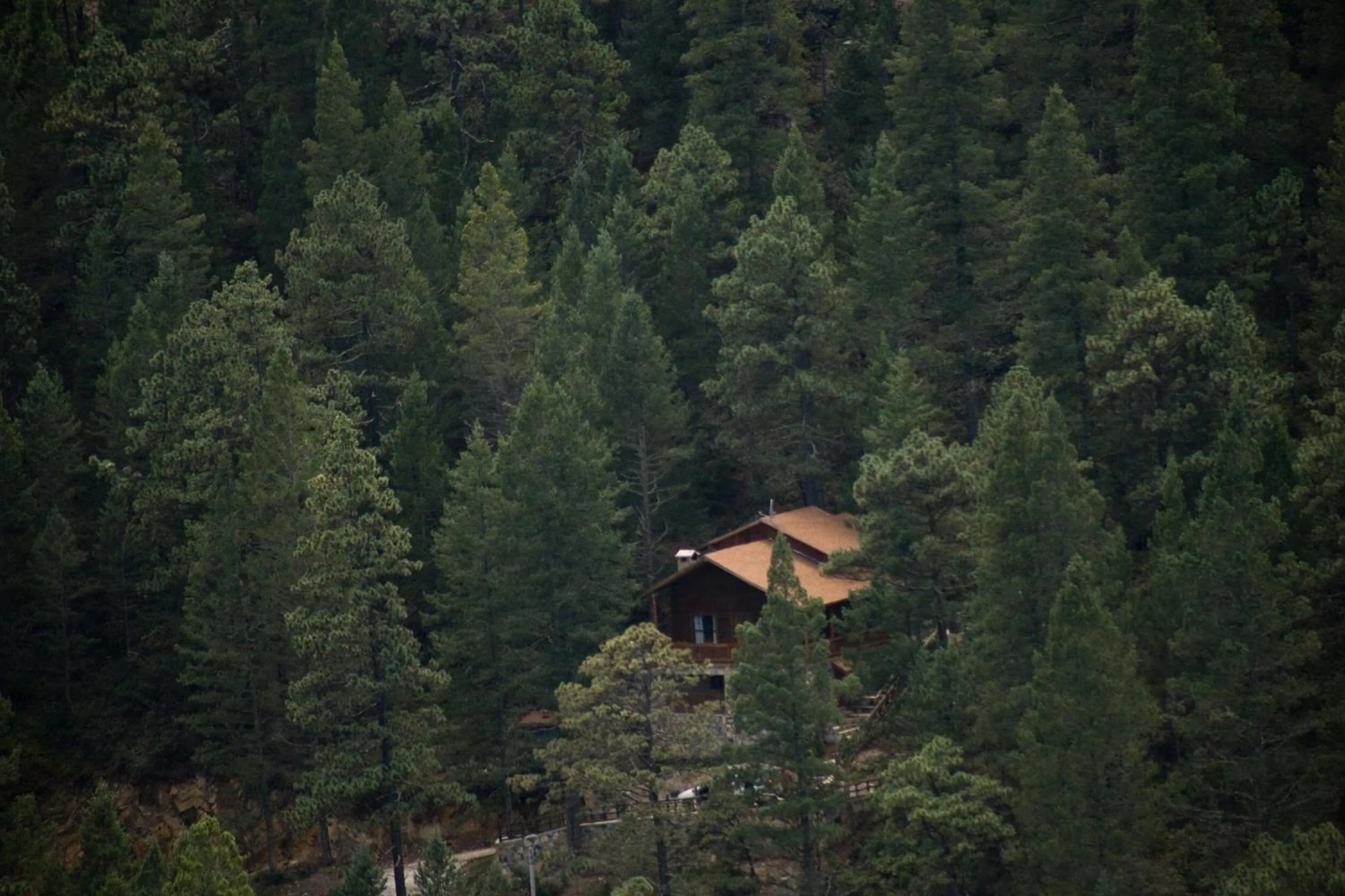 View (from property/room) in Bosques de Monterreal