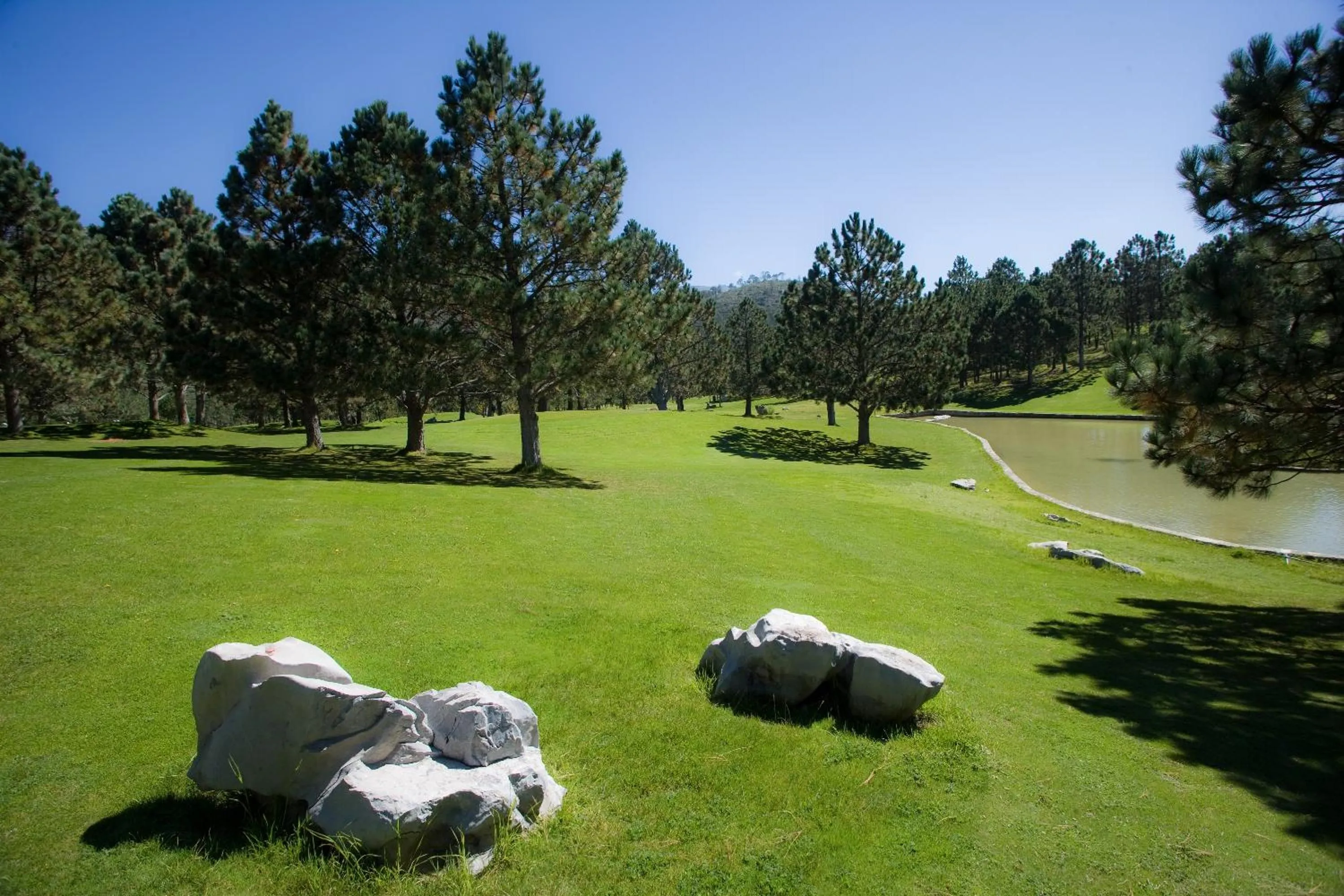 Garden in Bosques de Monterreal