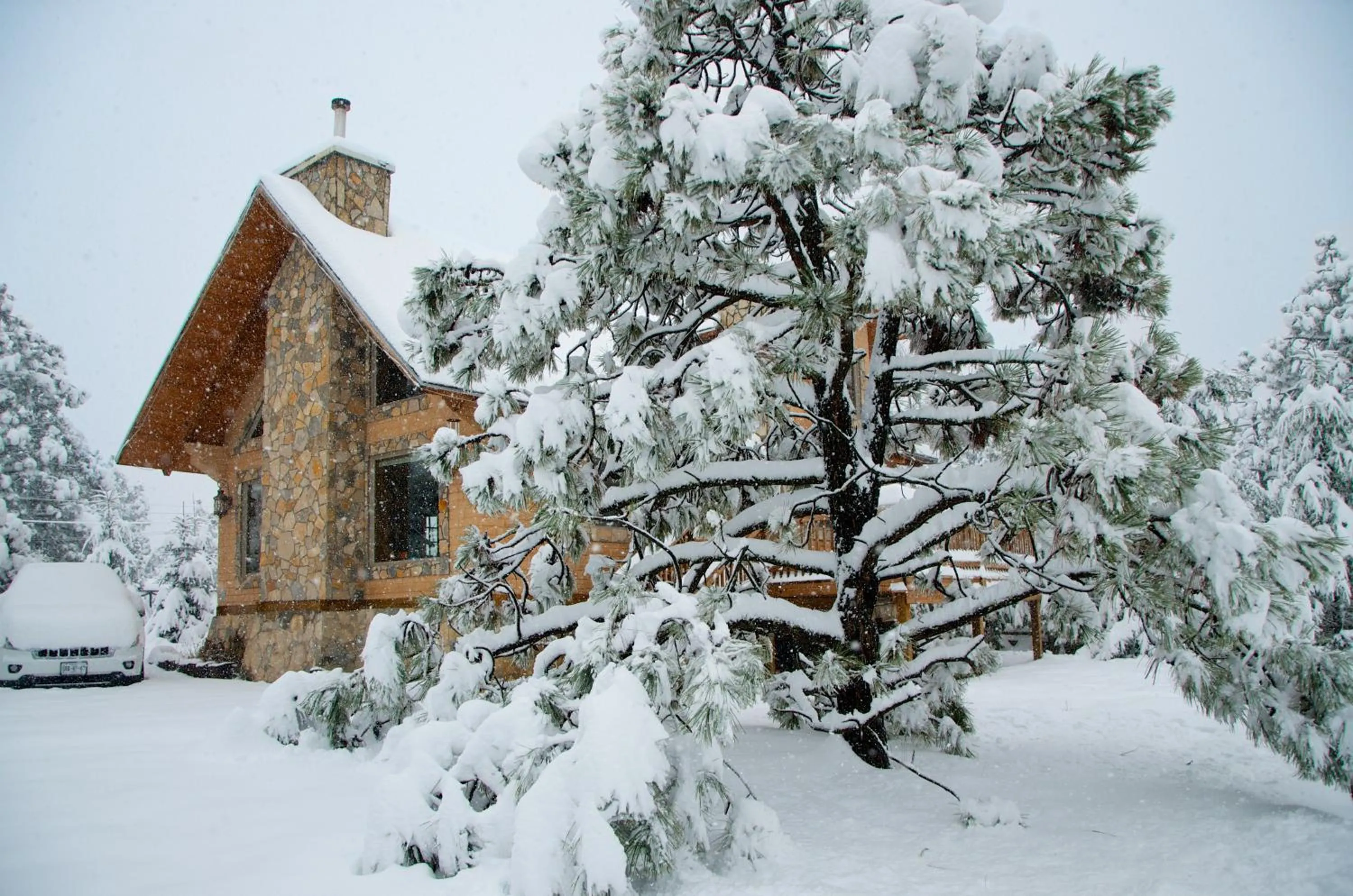 Winter in Bosques de Monterreal