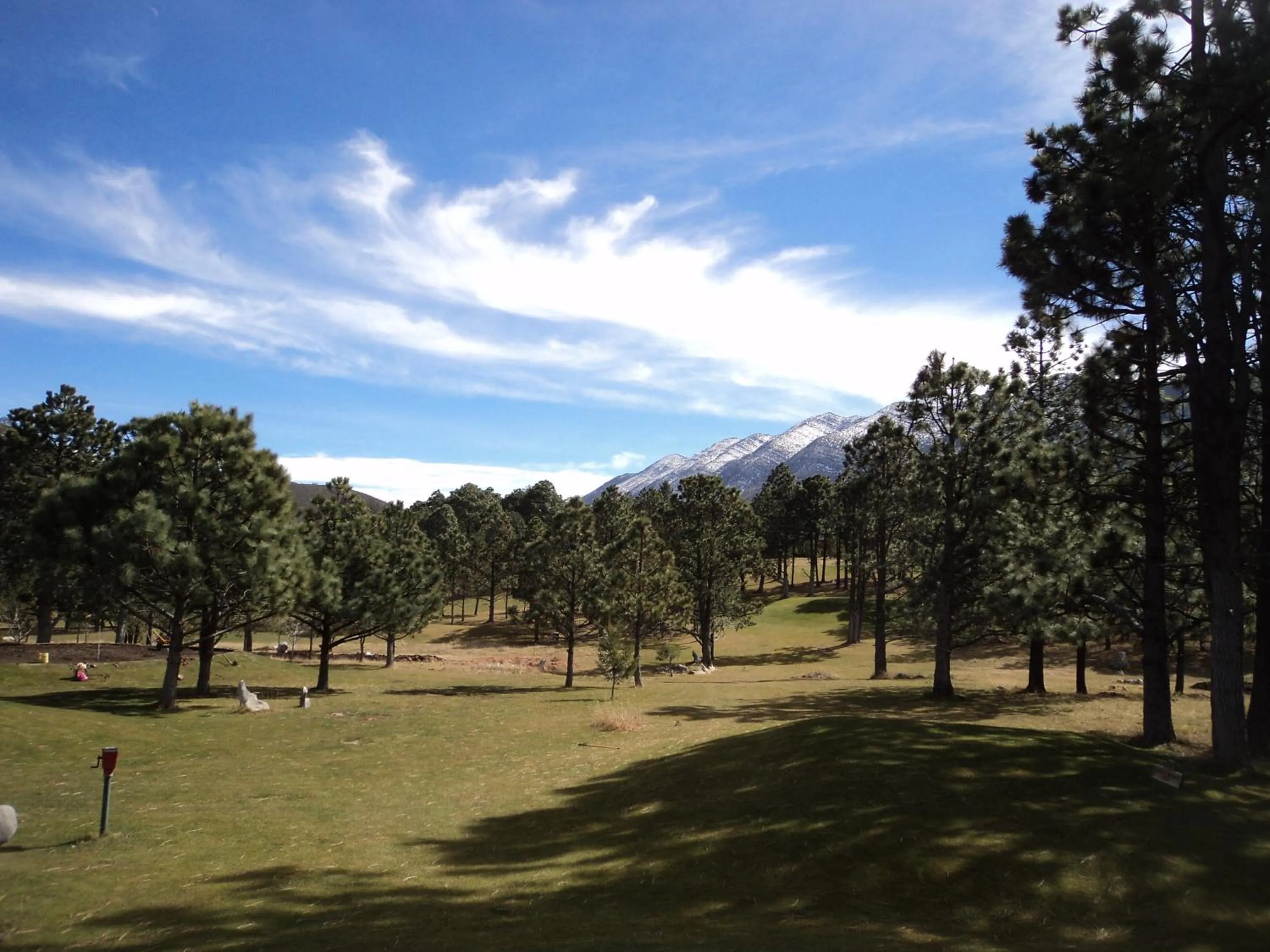 Winter in Bosques de Monterreal