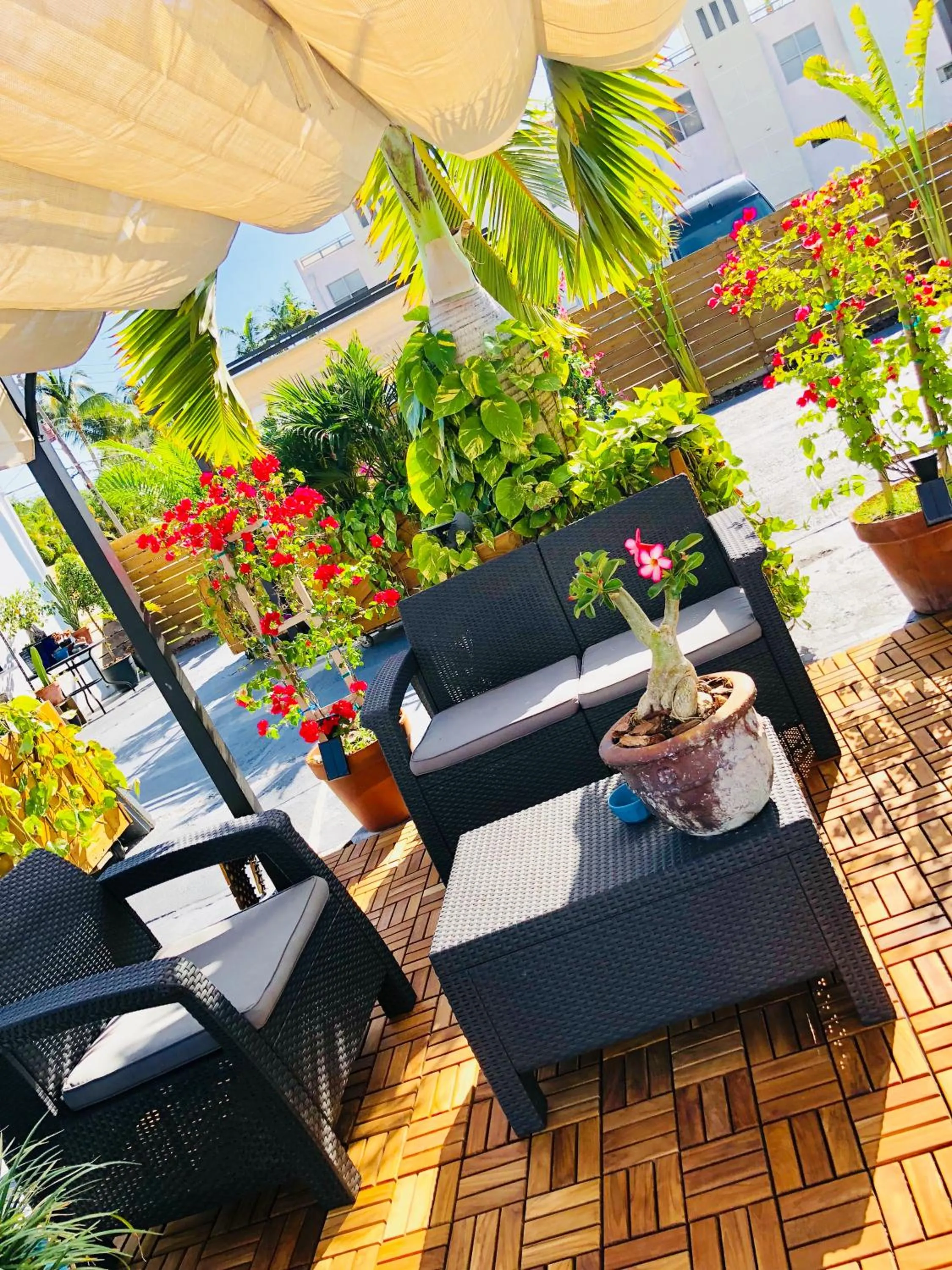 Patio in Oasis Hotel