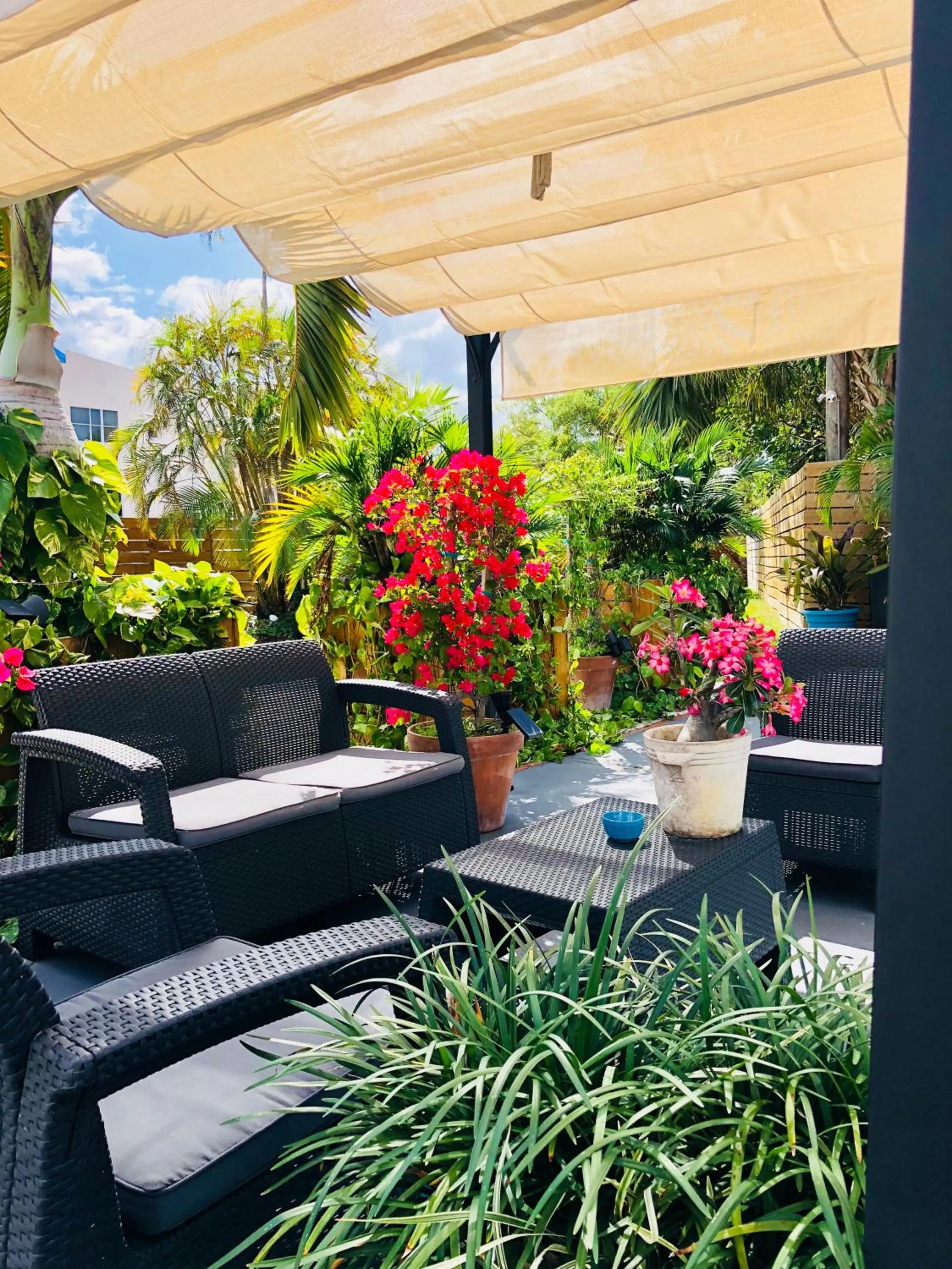 Patio in Oasis Hotel