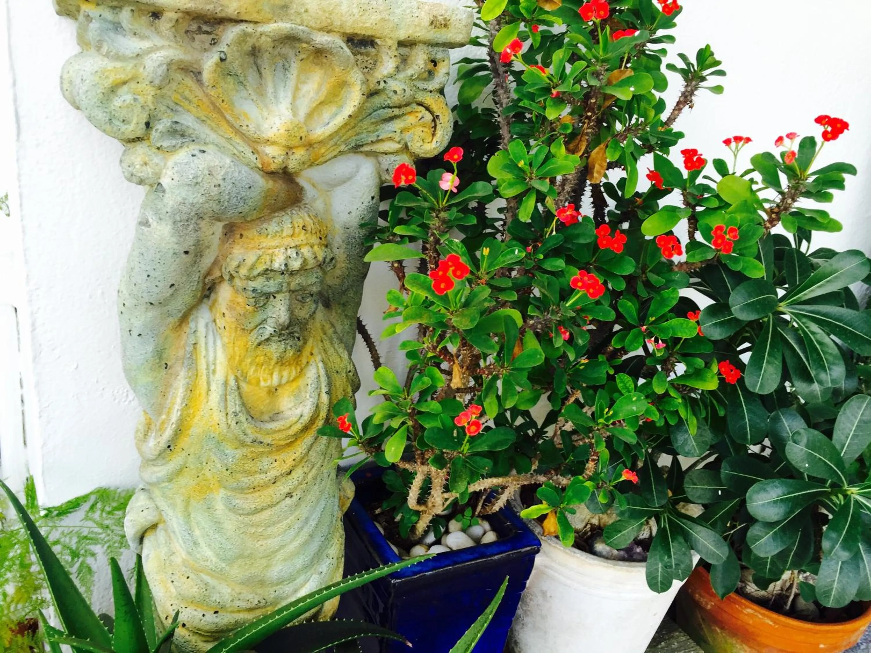 Decorative detail in Oasis Hotel