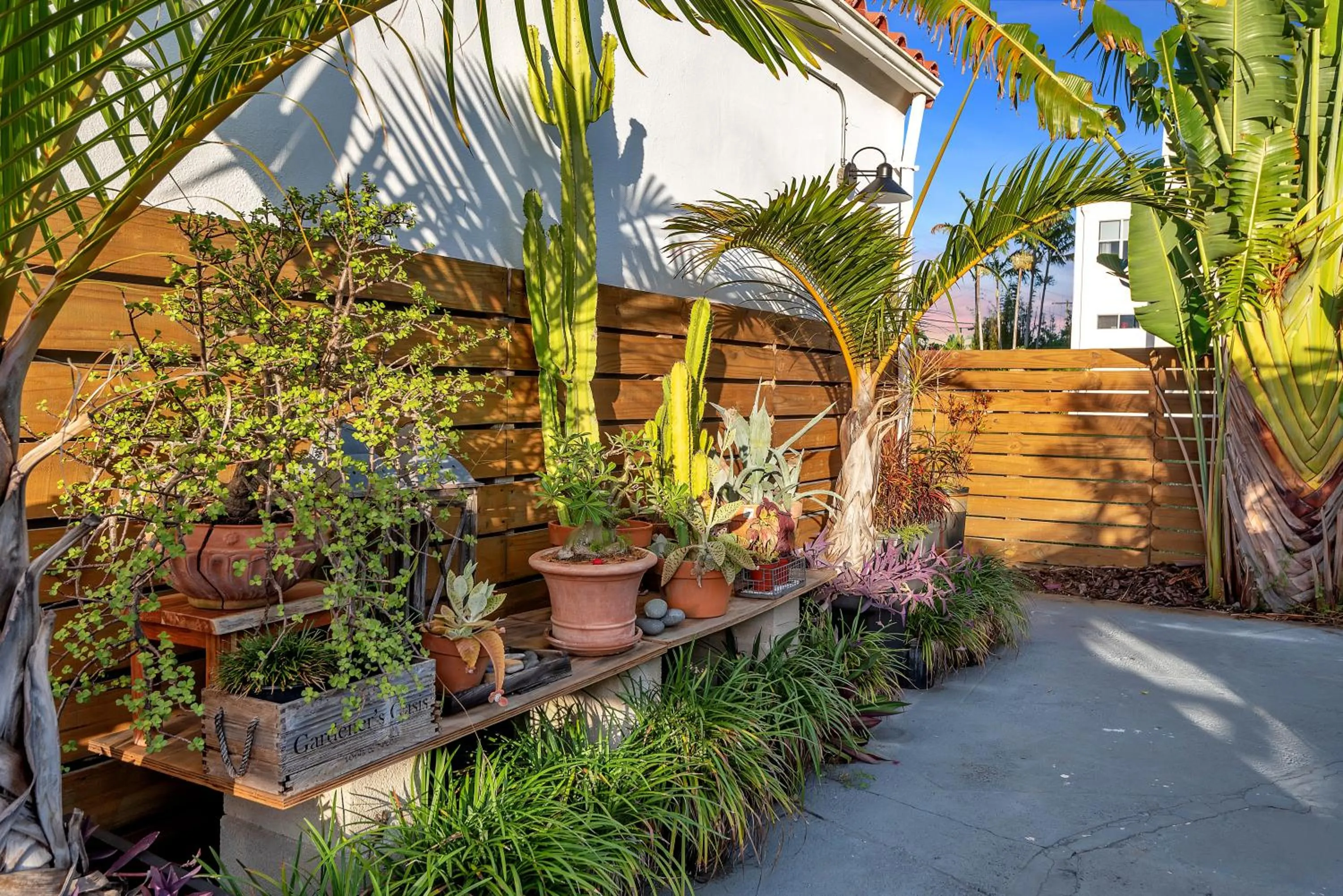 Garden in Oasis Hotel