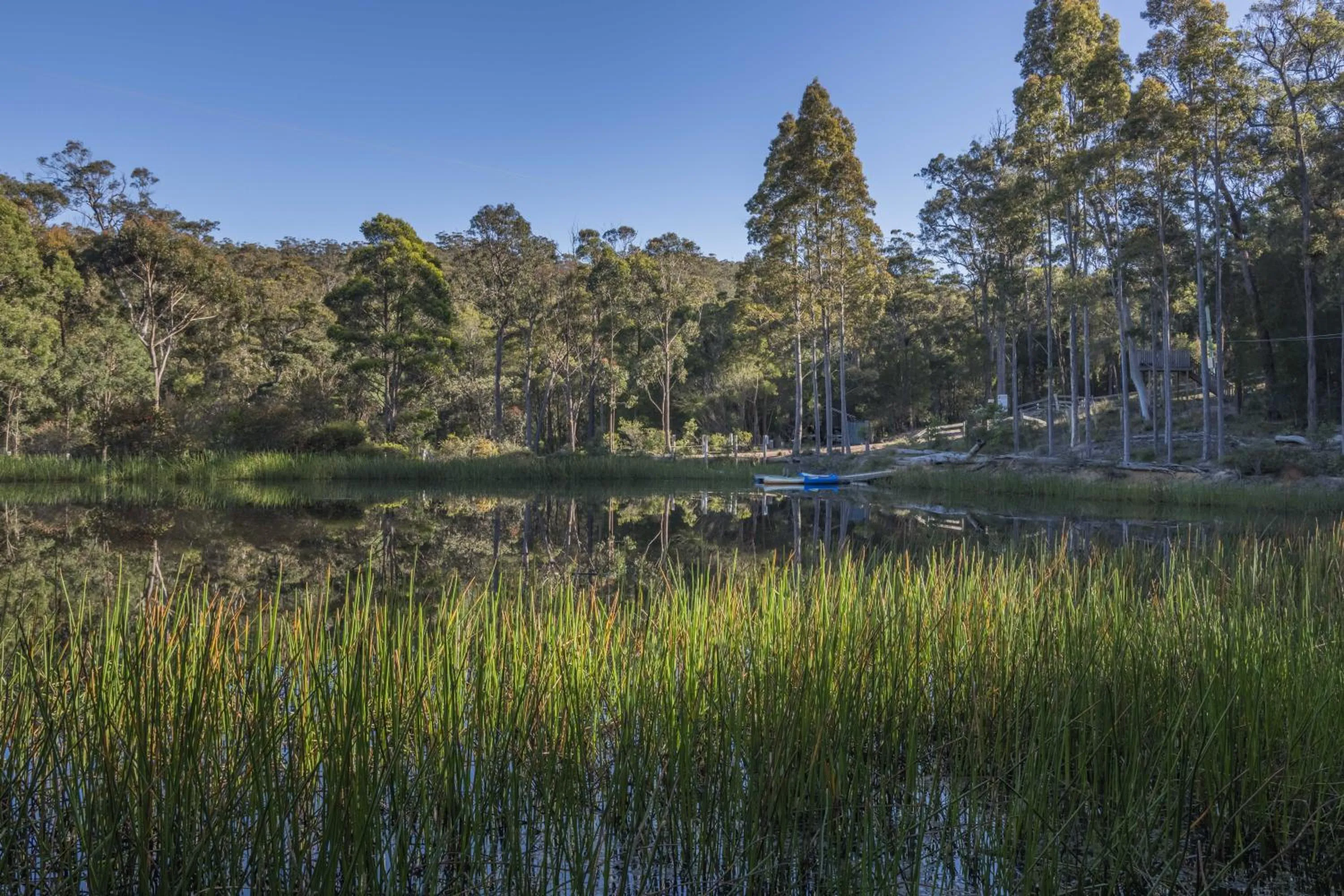 Natural landscape in Kianinny Bush Cottages