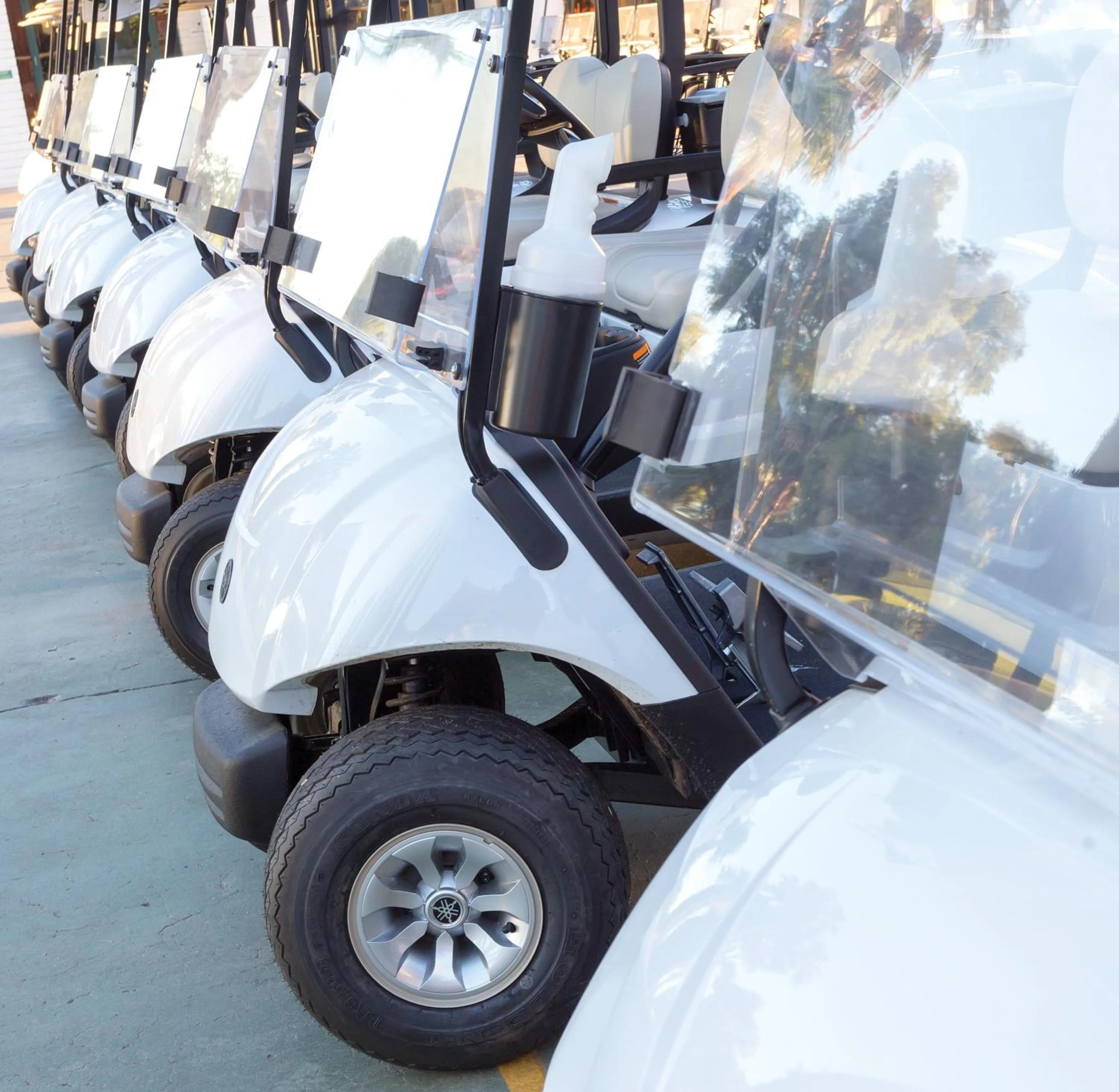 Golfcourse in Orange Tree Resort