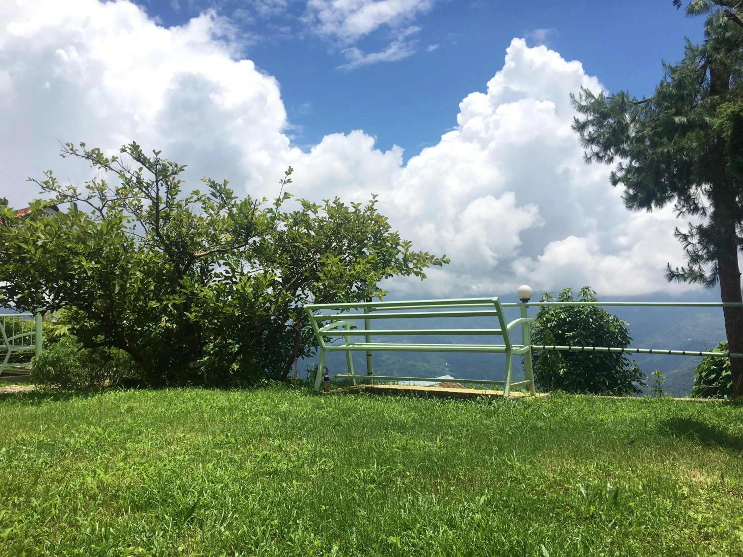 Garden in THE GINGKO EYRIE