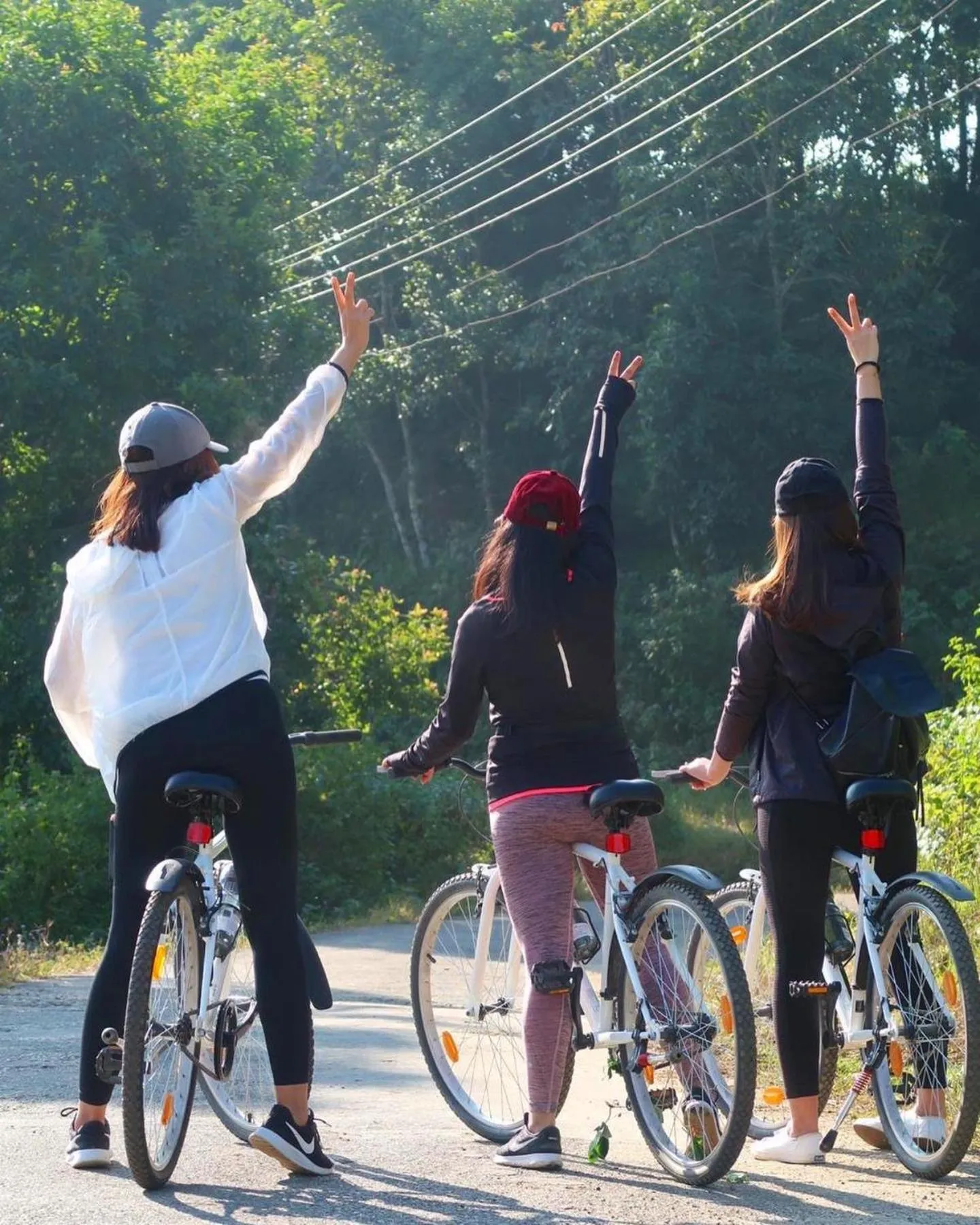 Activities in THE GINGKO EYRIE