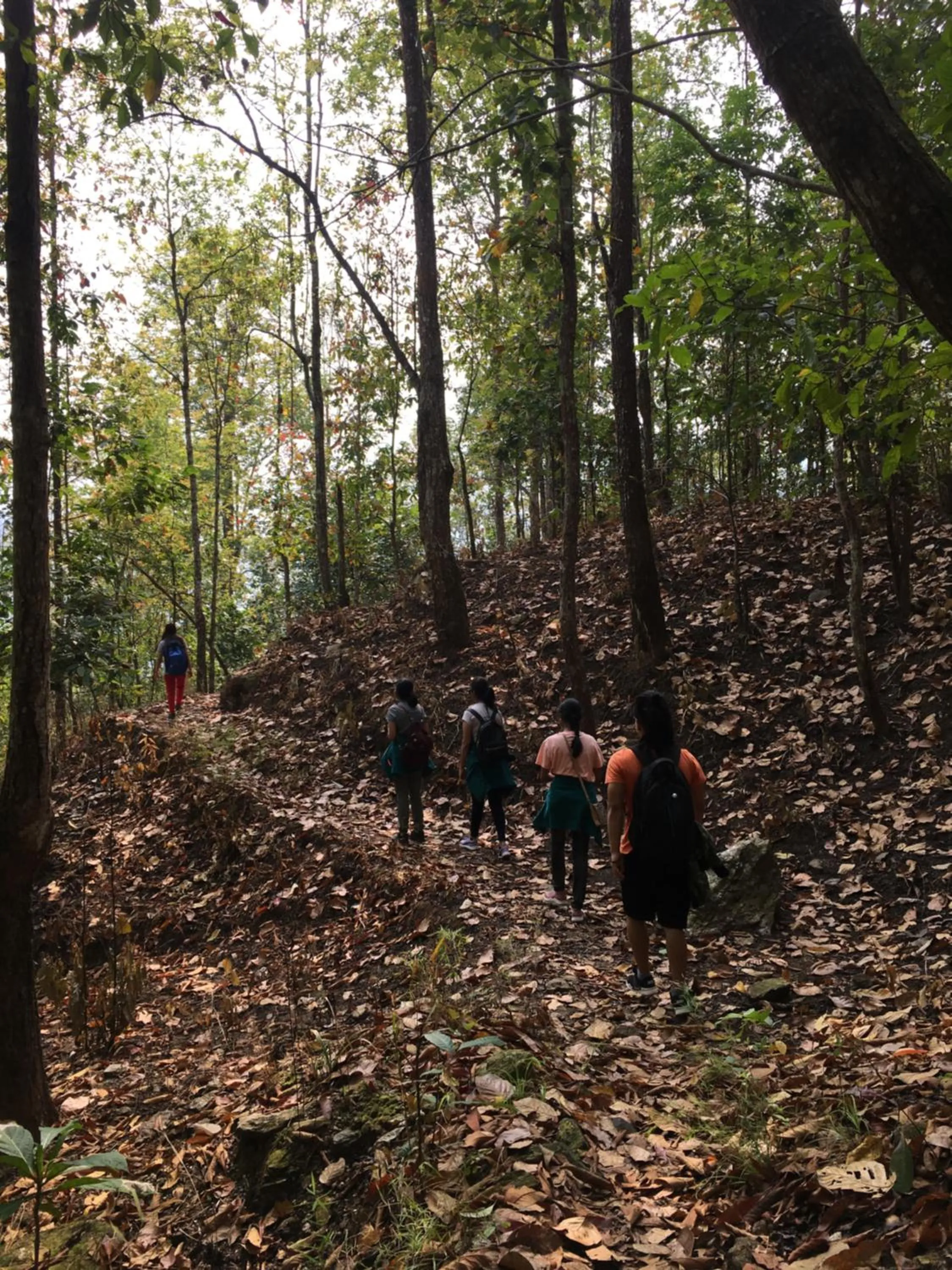 Hiking in THE GINGKO EYRIE
