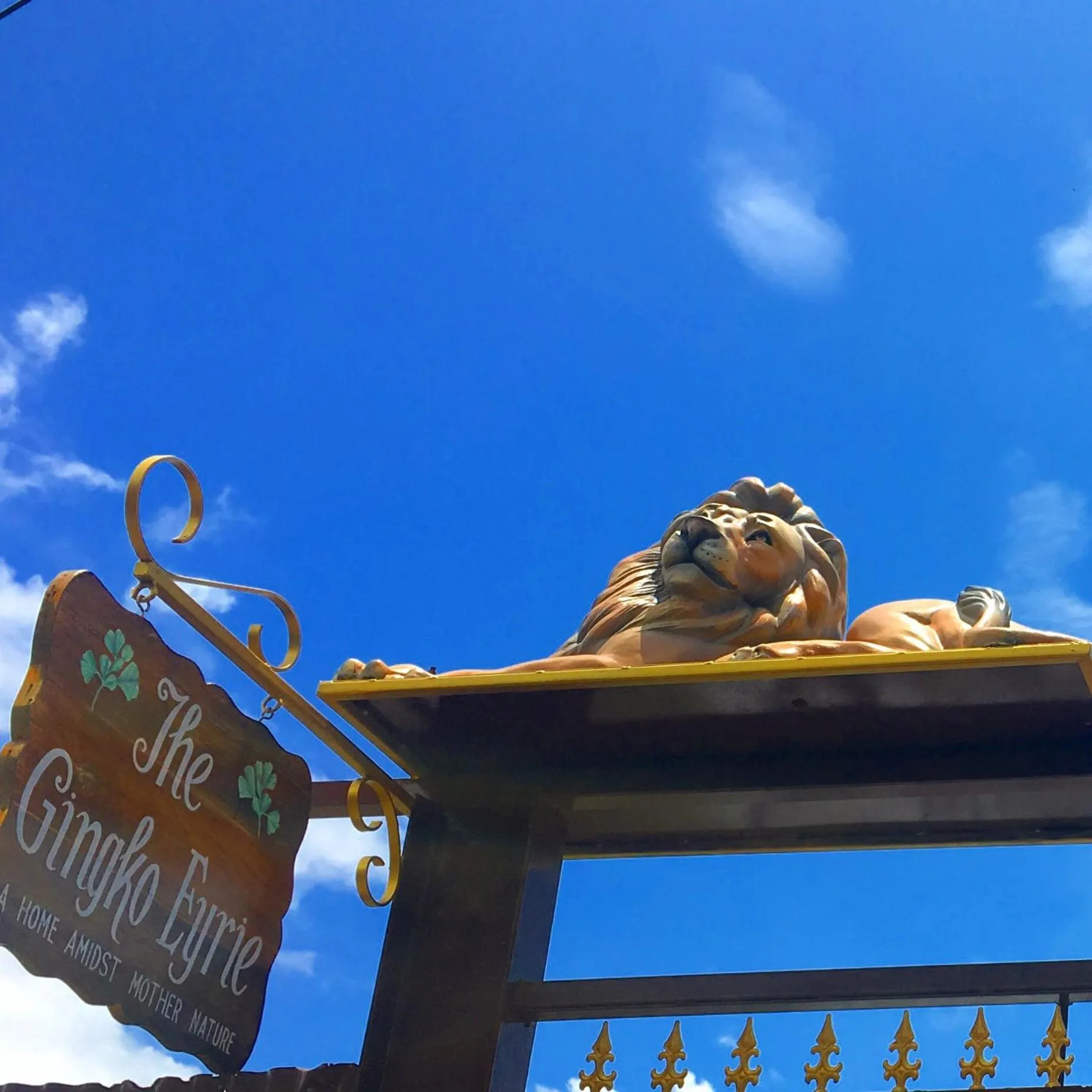 On site in THE GINGKO EYRIE