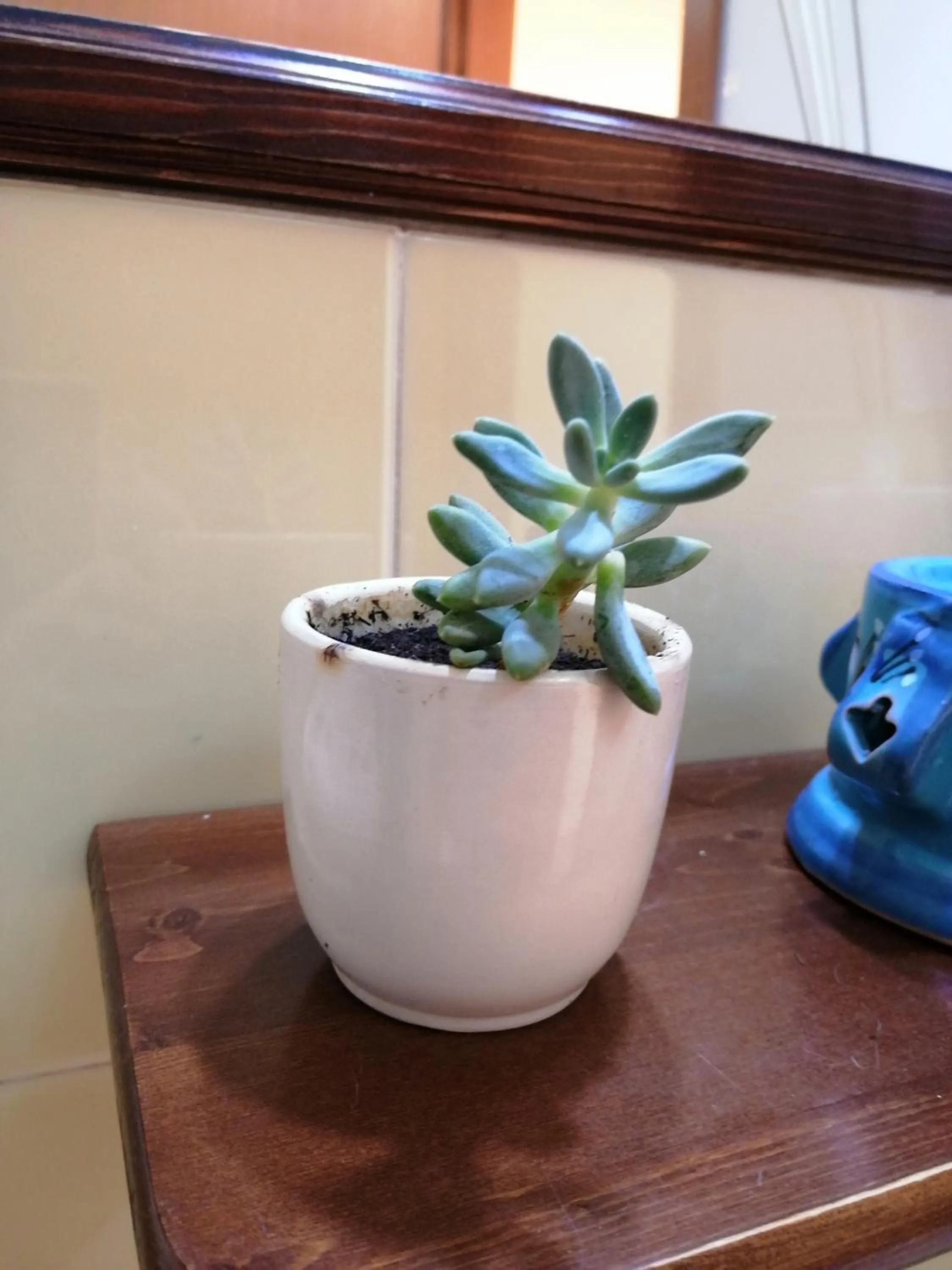 Bathroom in Holiday Home Zolfare