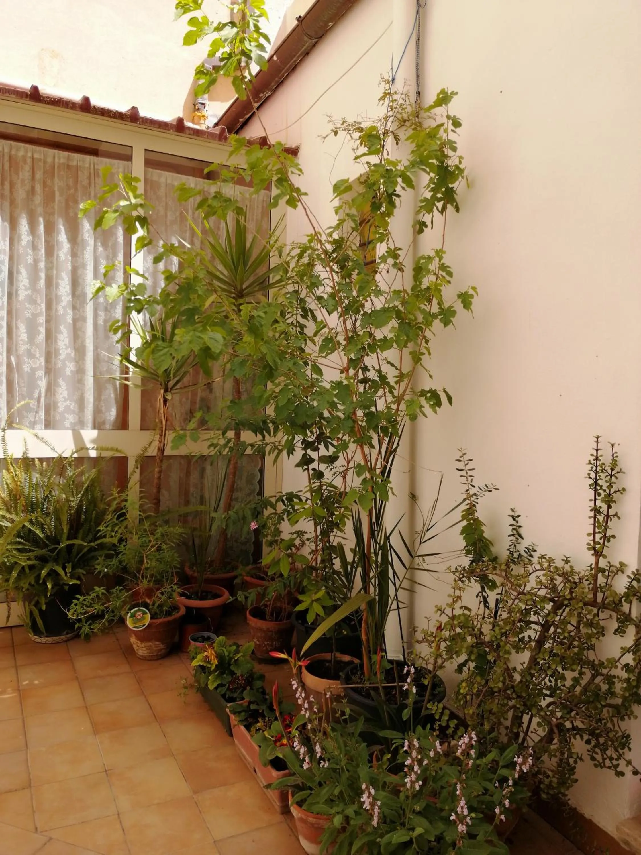 Property building in Holiday Home Zolfare