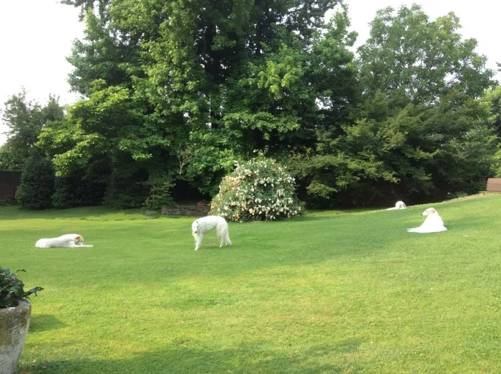 Garden in Villa La Maggiorana