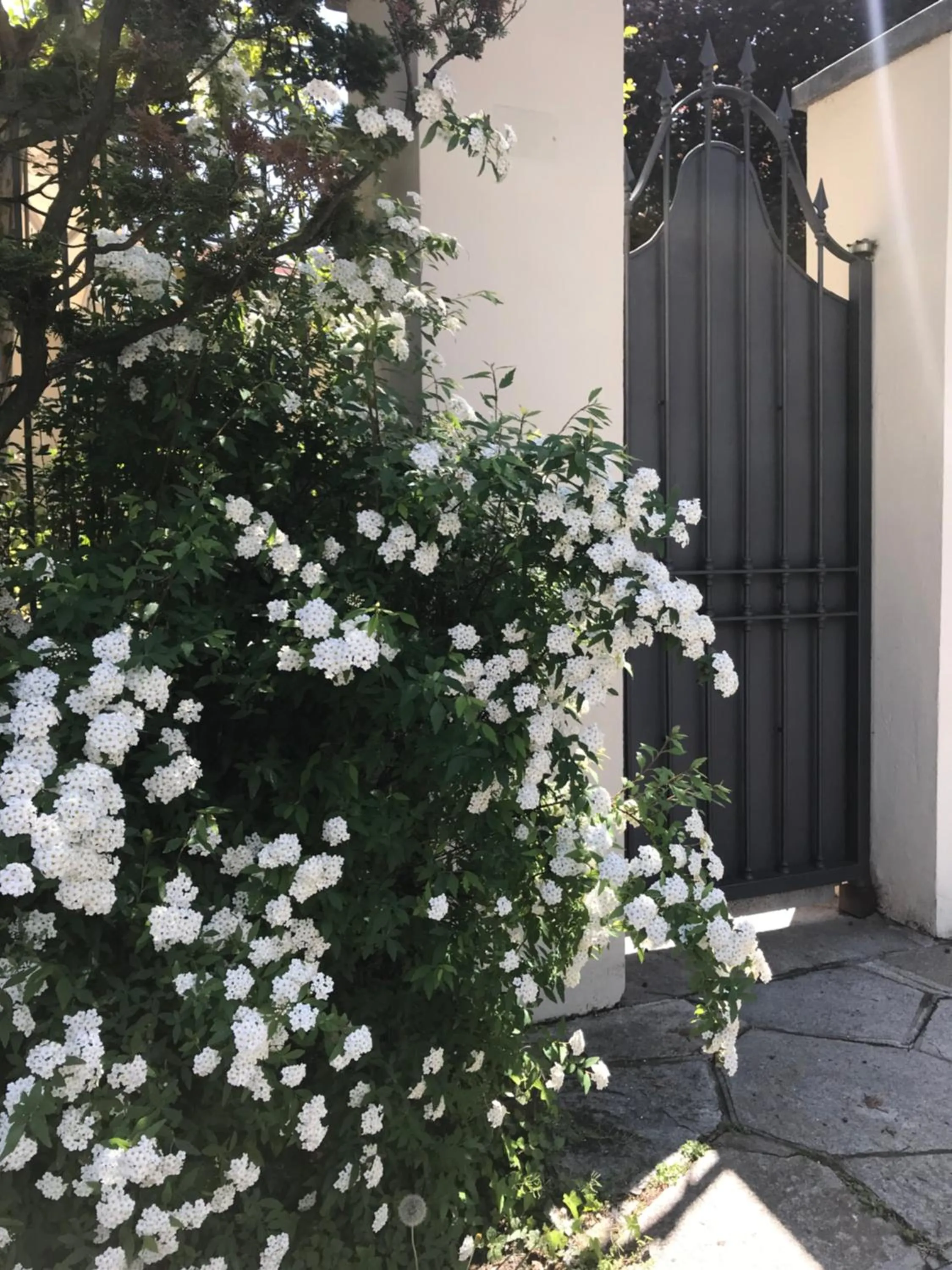 Facade/entrance in Villa La Maggiorana