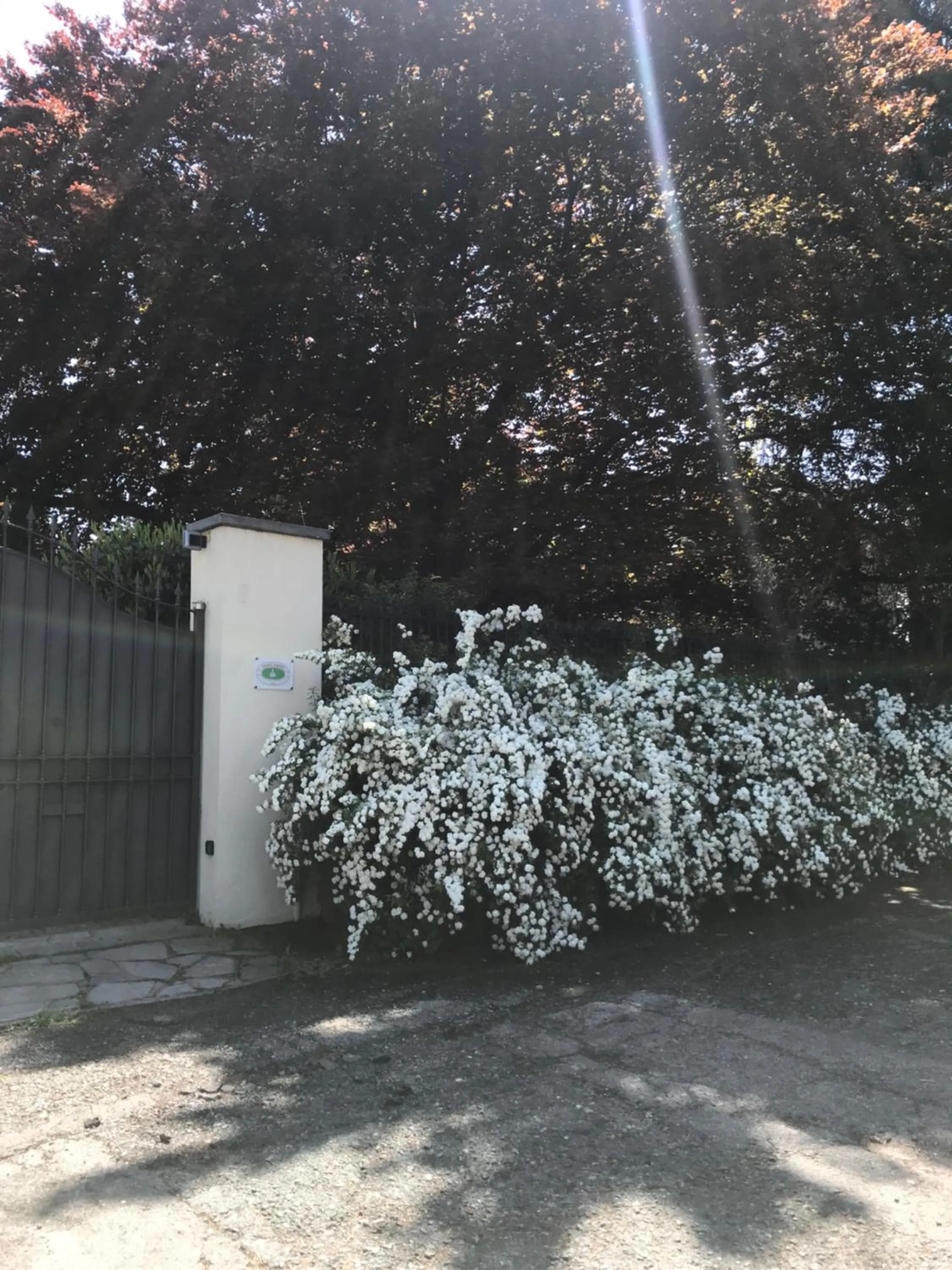 Facade/entrance in Villa La Maggiorana