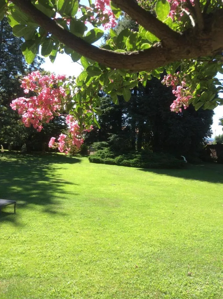 Garden in Villa La Maggiorana