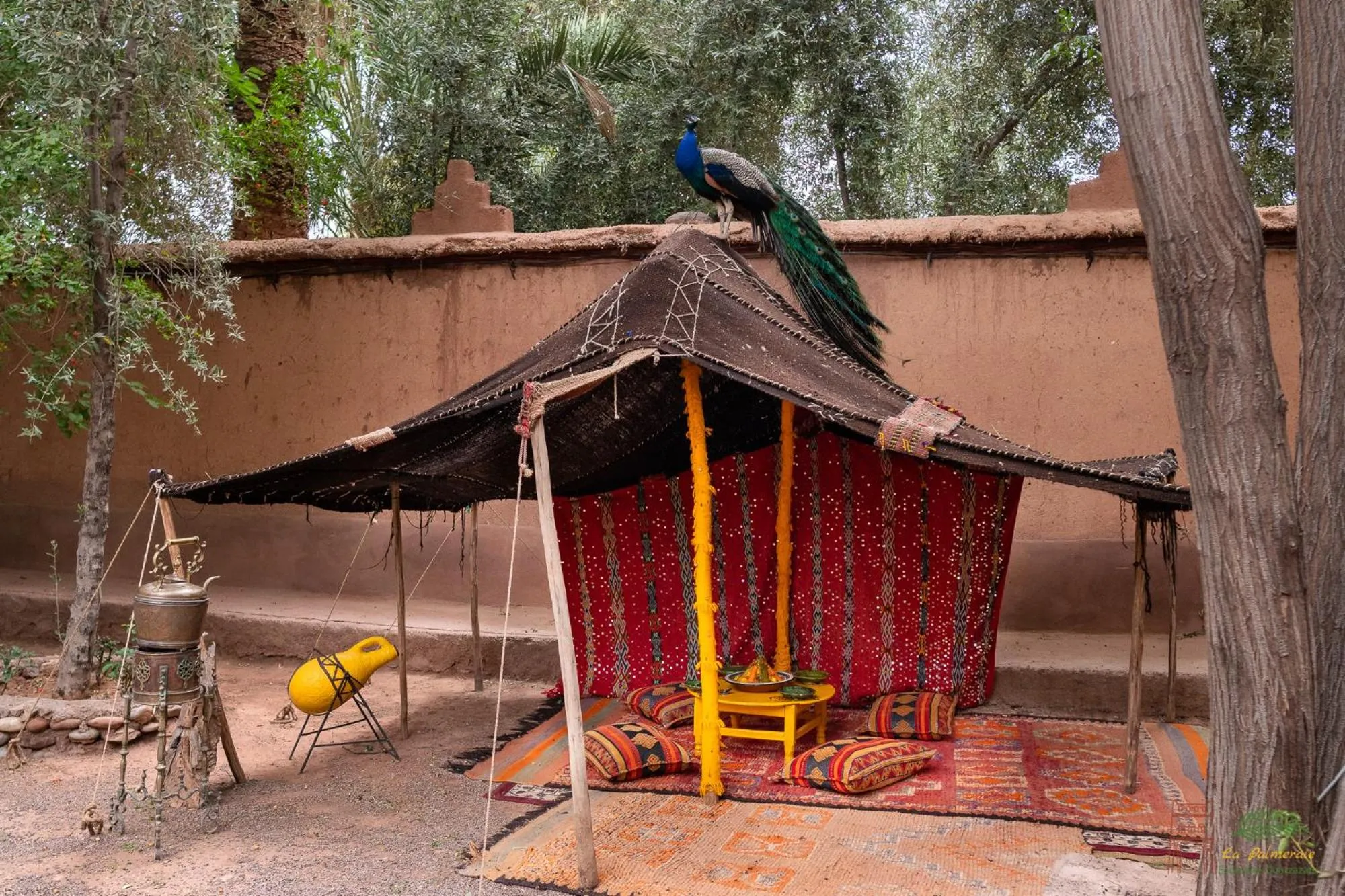Garden in Ecolodge La Palmeraie