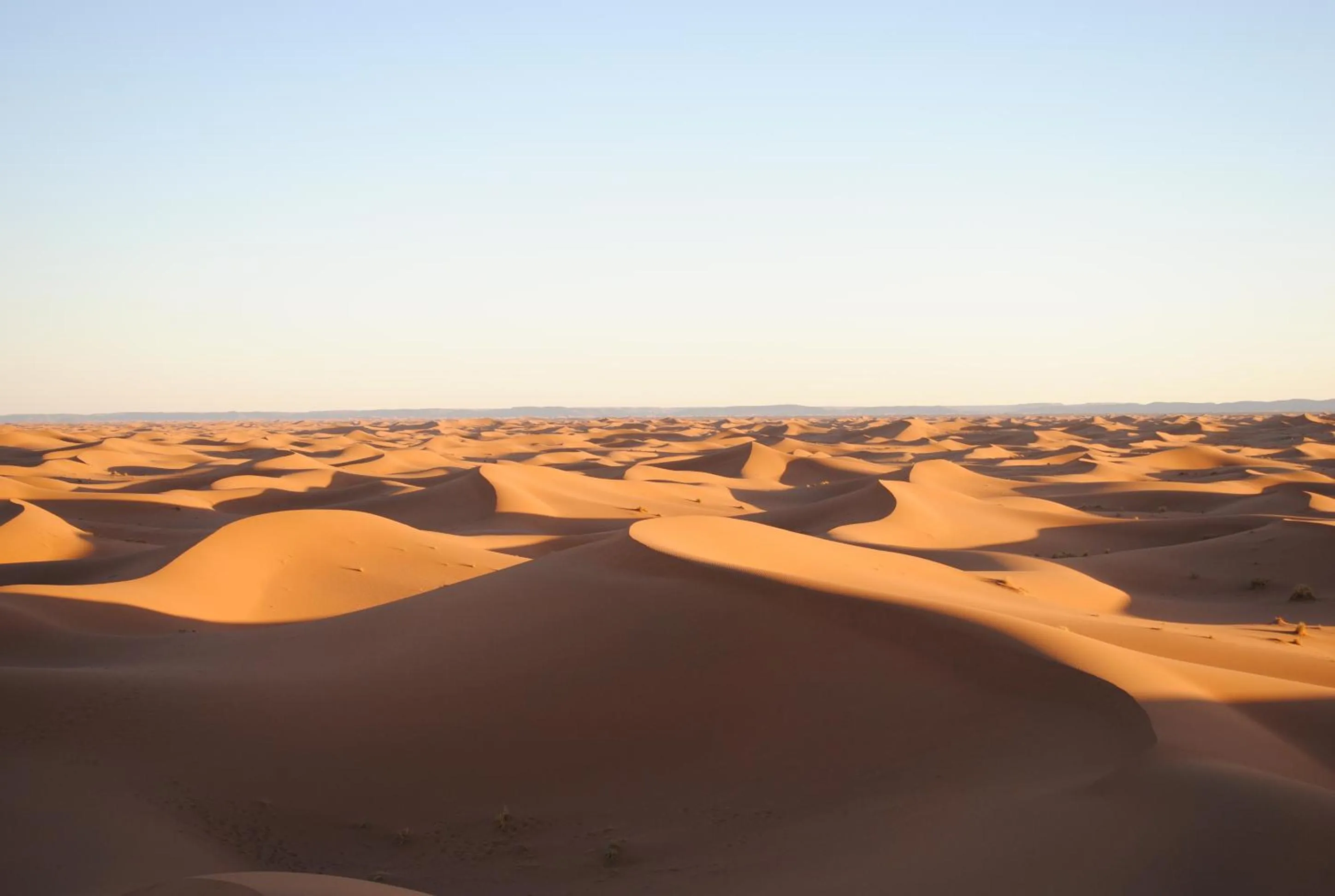 Activities in Ecolodge La Palmeraie