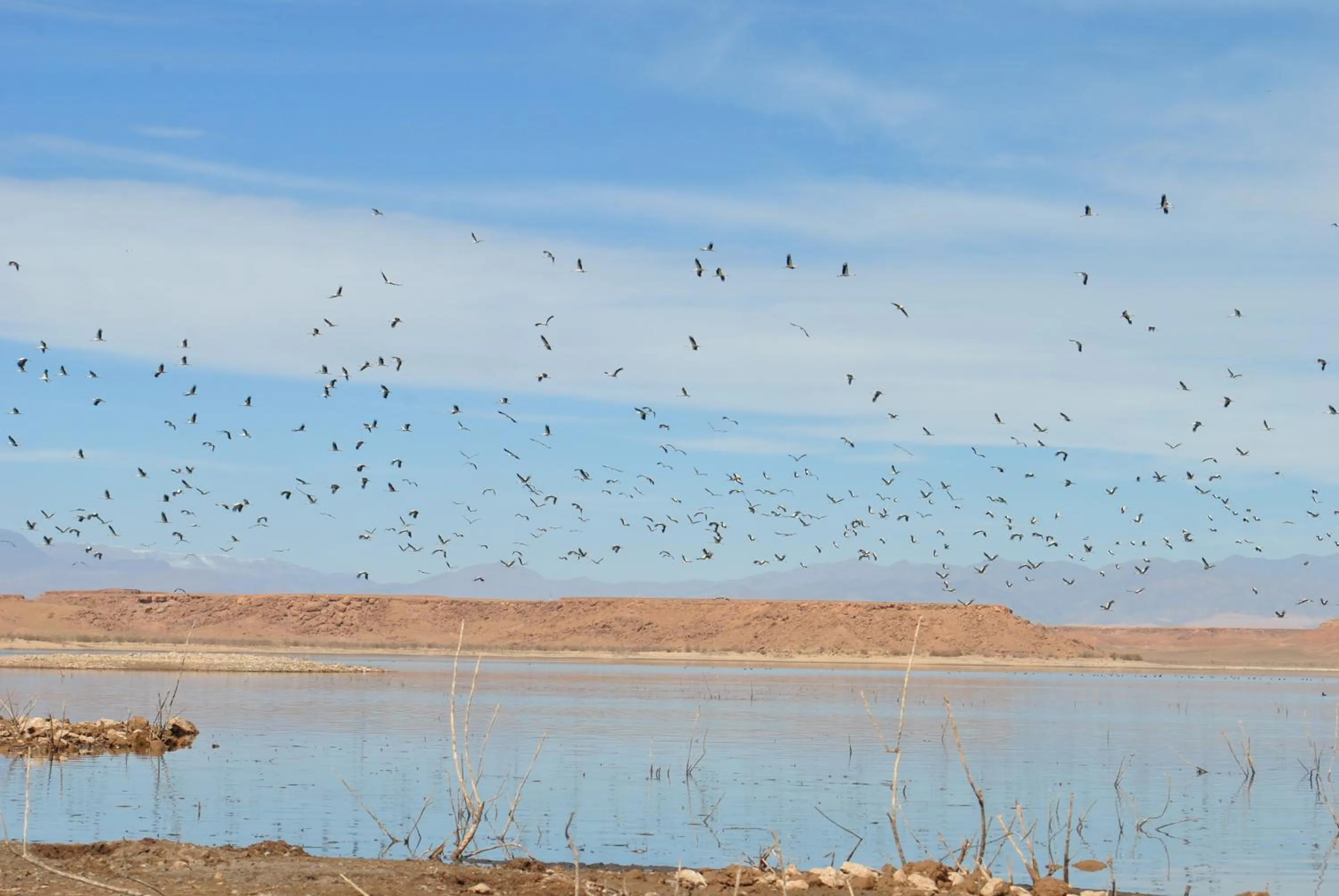 Area and facilities in Ecolodge La Palmeraie