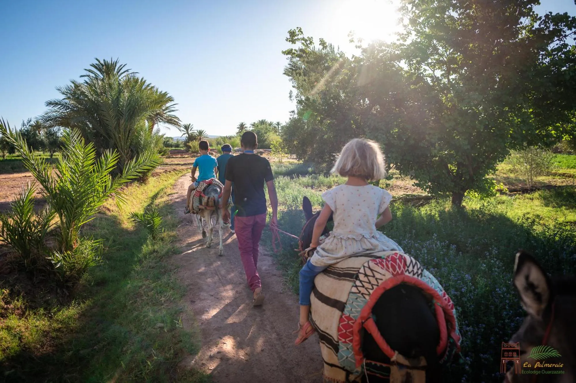 Activities in Ecolodge La Palmeraie