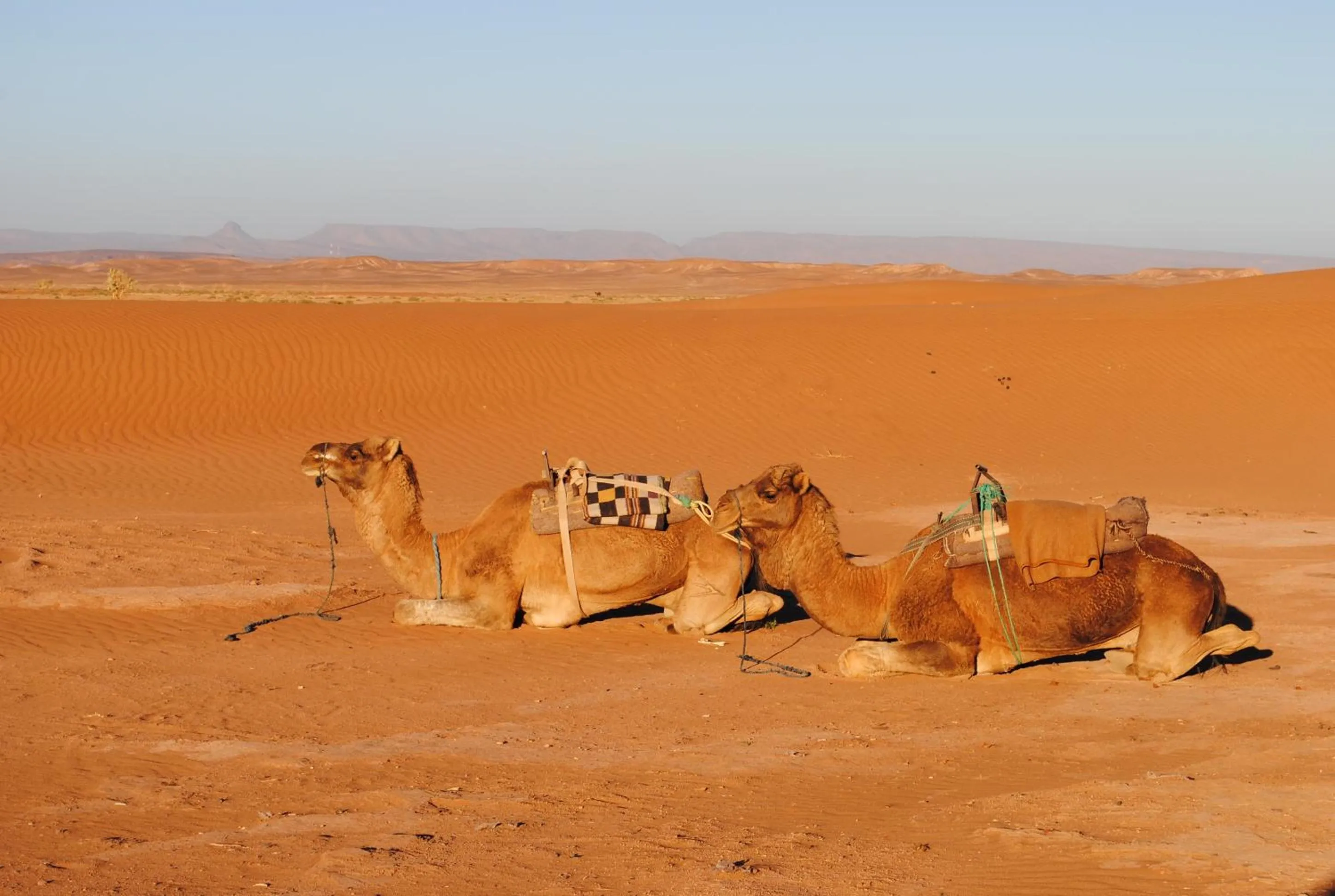 Activities in Ecolodge La Palmeraie