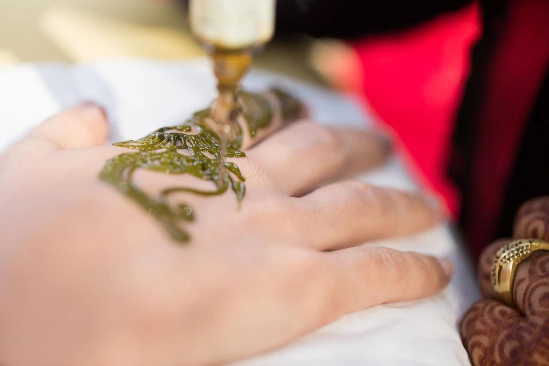 Activities in Ecolodge La Palmeraie