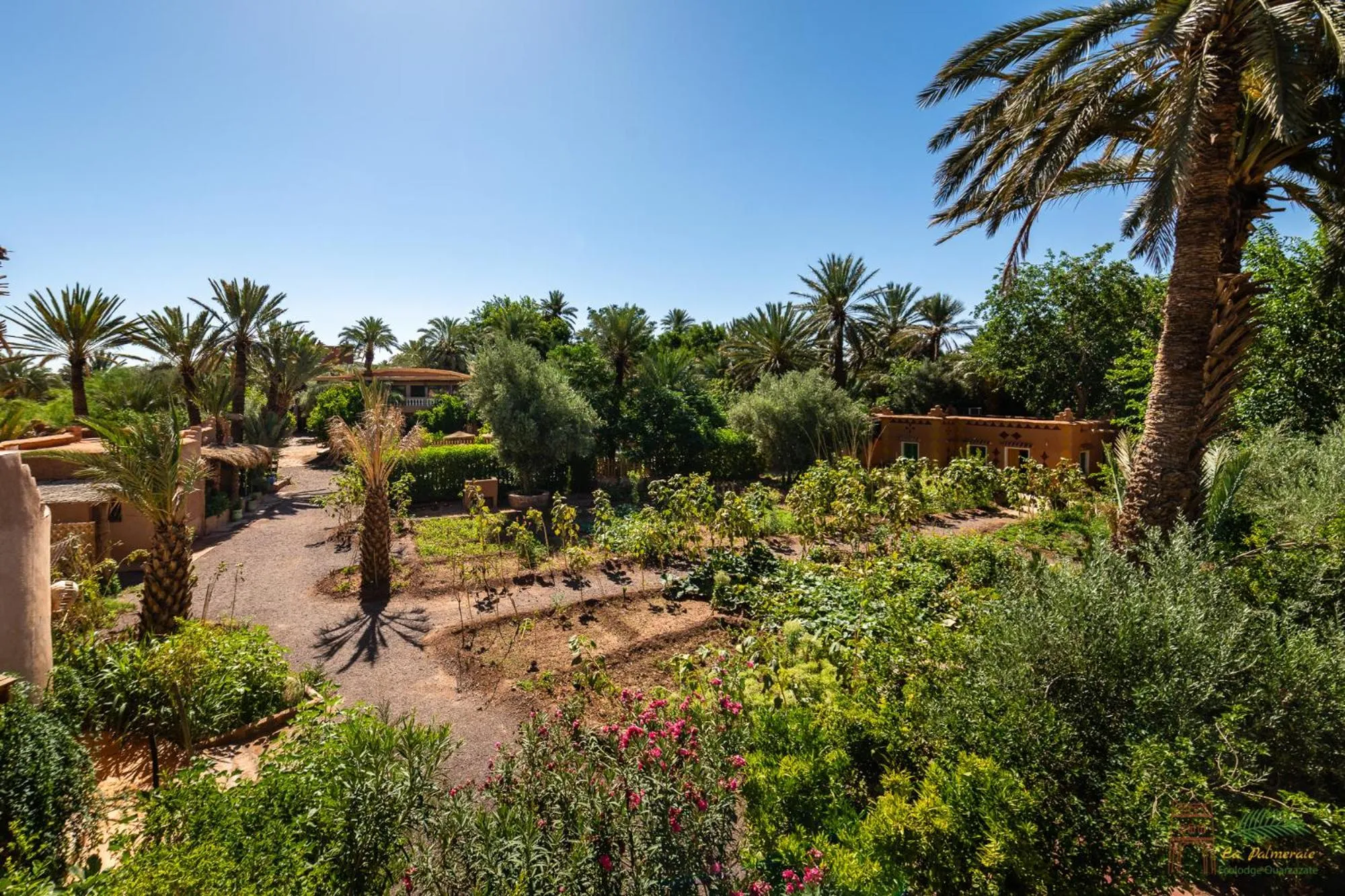 Garden in Ecolodge La Palmeraie