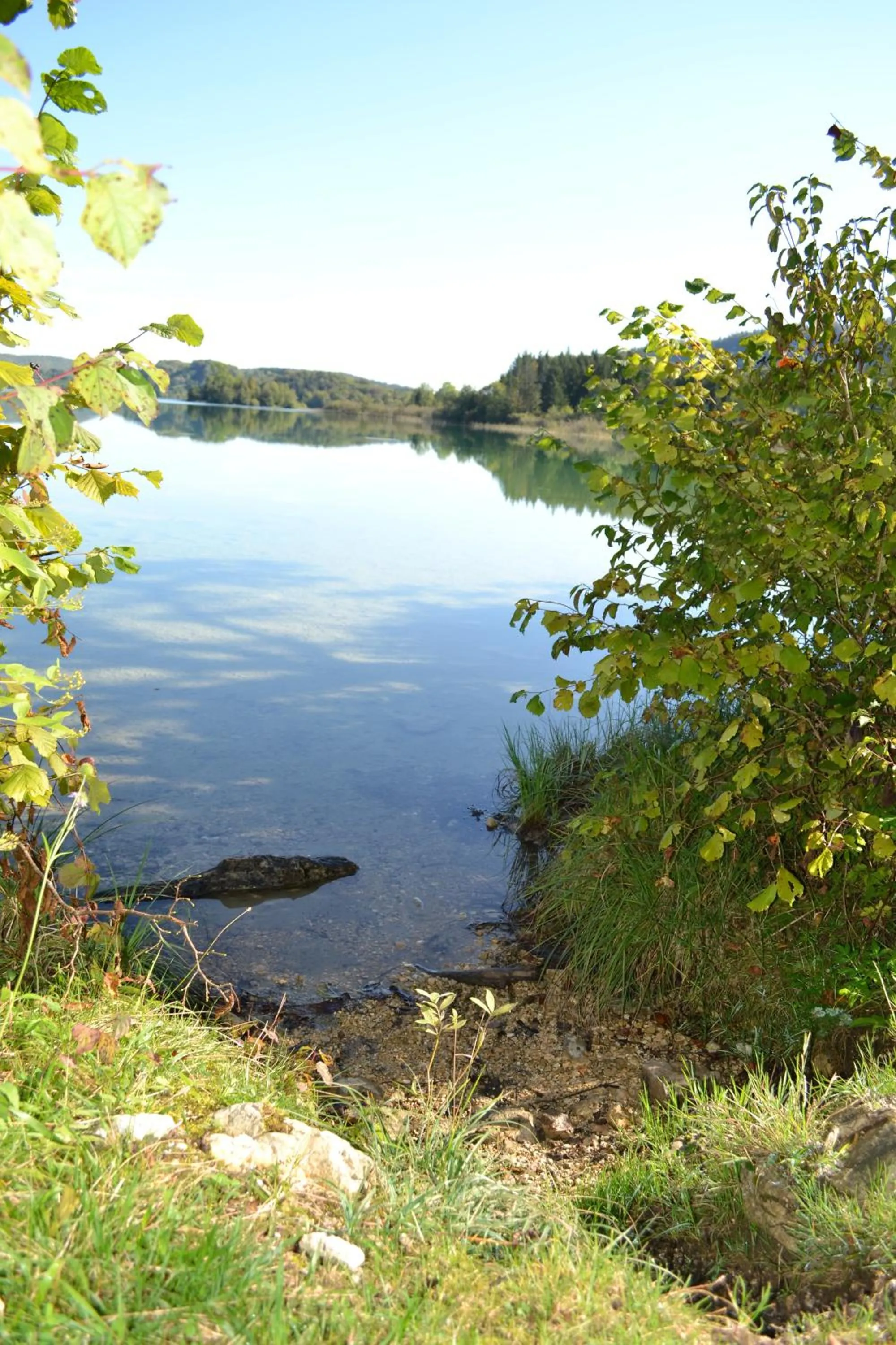 Area and facilities in Auberge du Hérisson