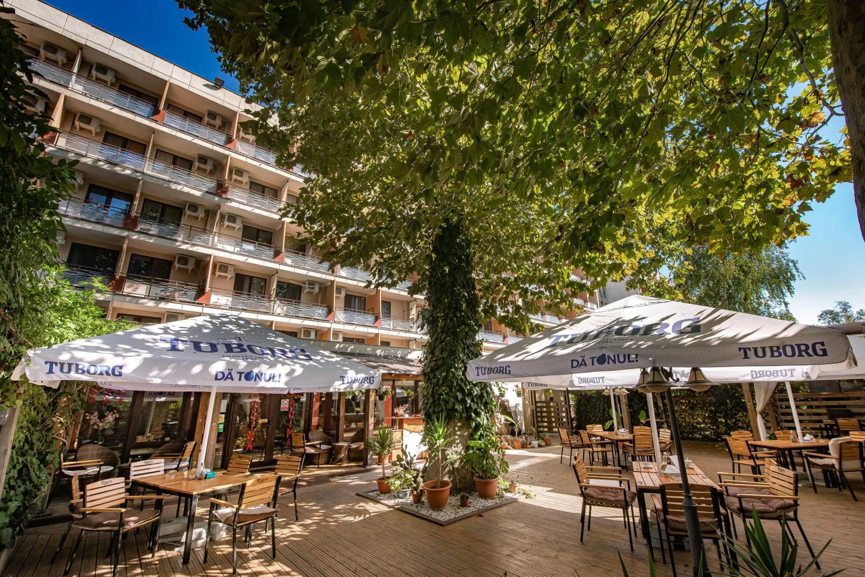 Restaurant/places to eat in Hotel Doina