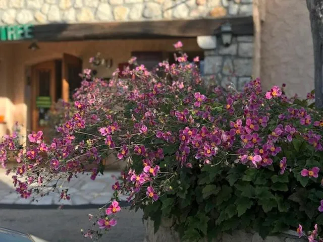 Property building in Les Belles Terrasses