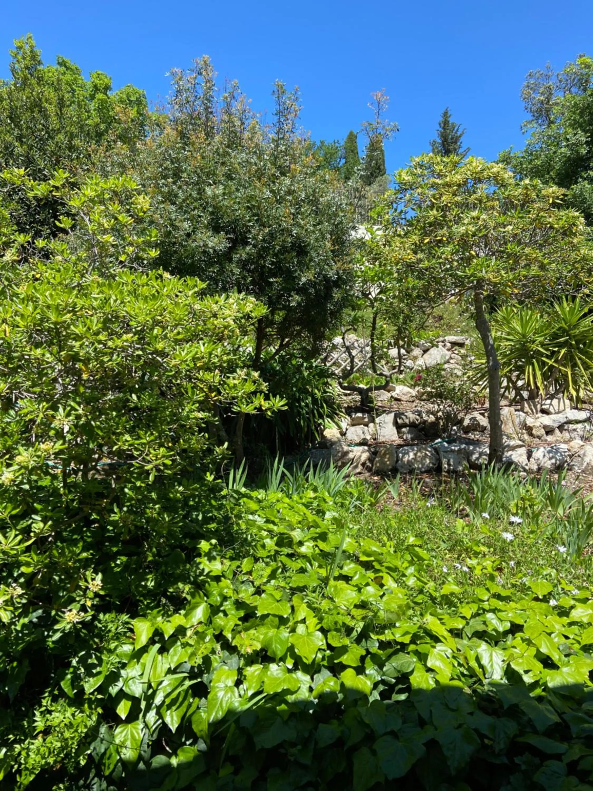 Garden view in Les Belles Terrasses