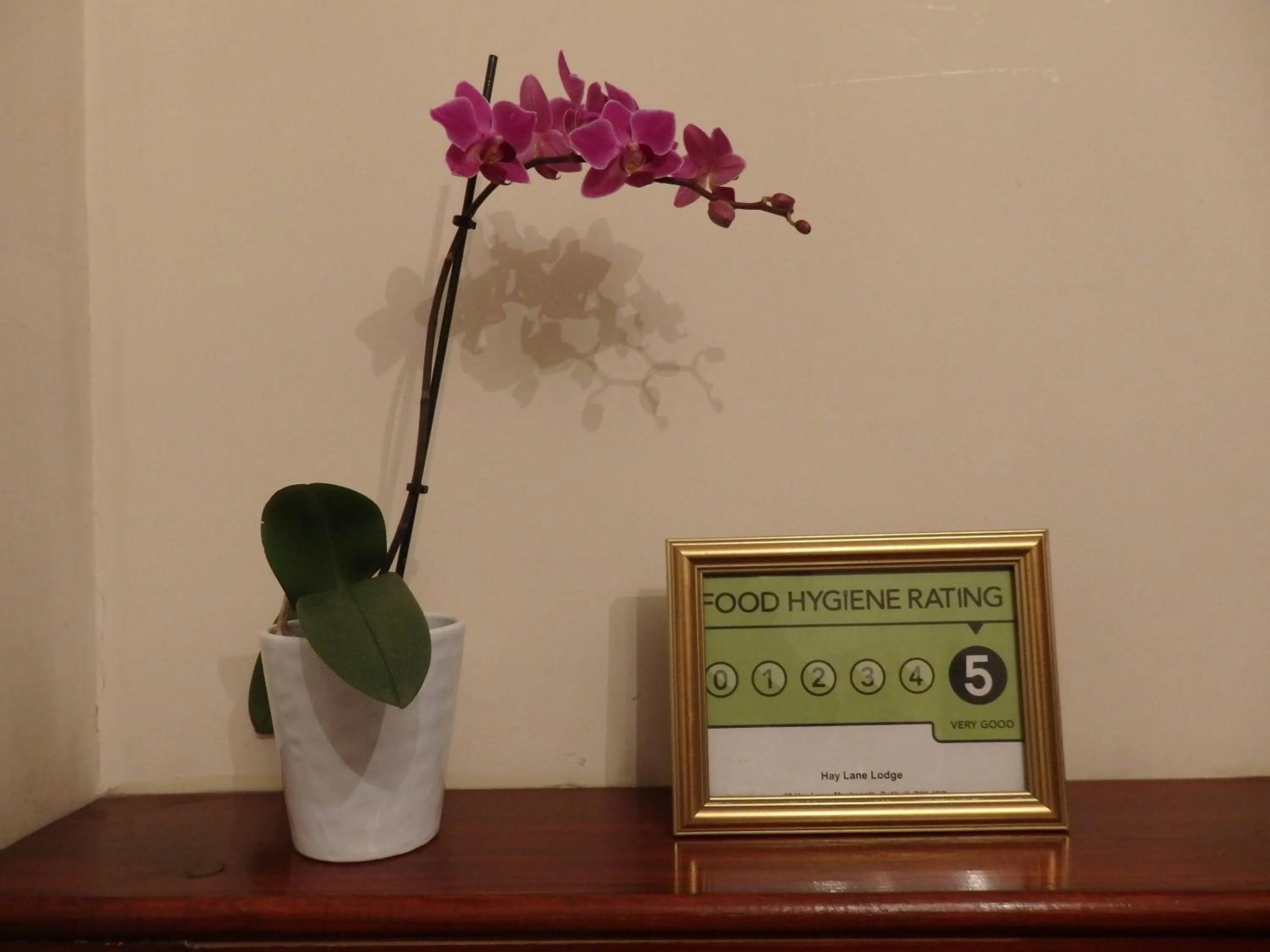 Certificate/Award in HayLaneLodge