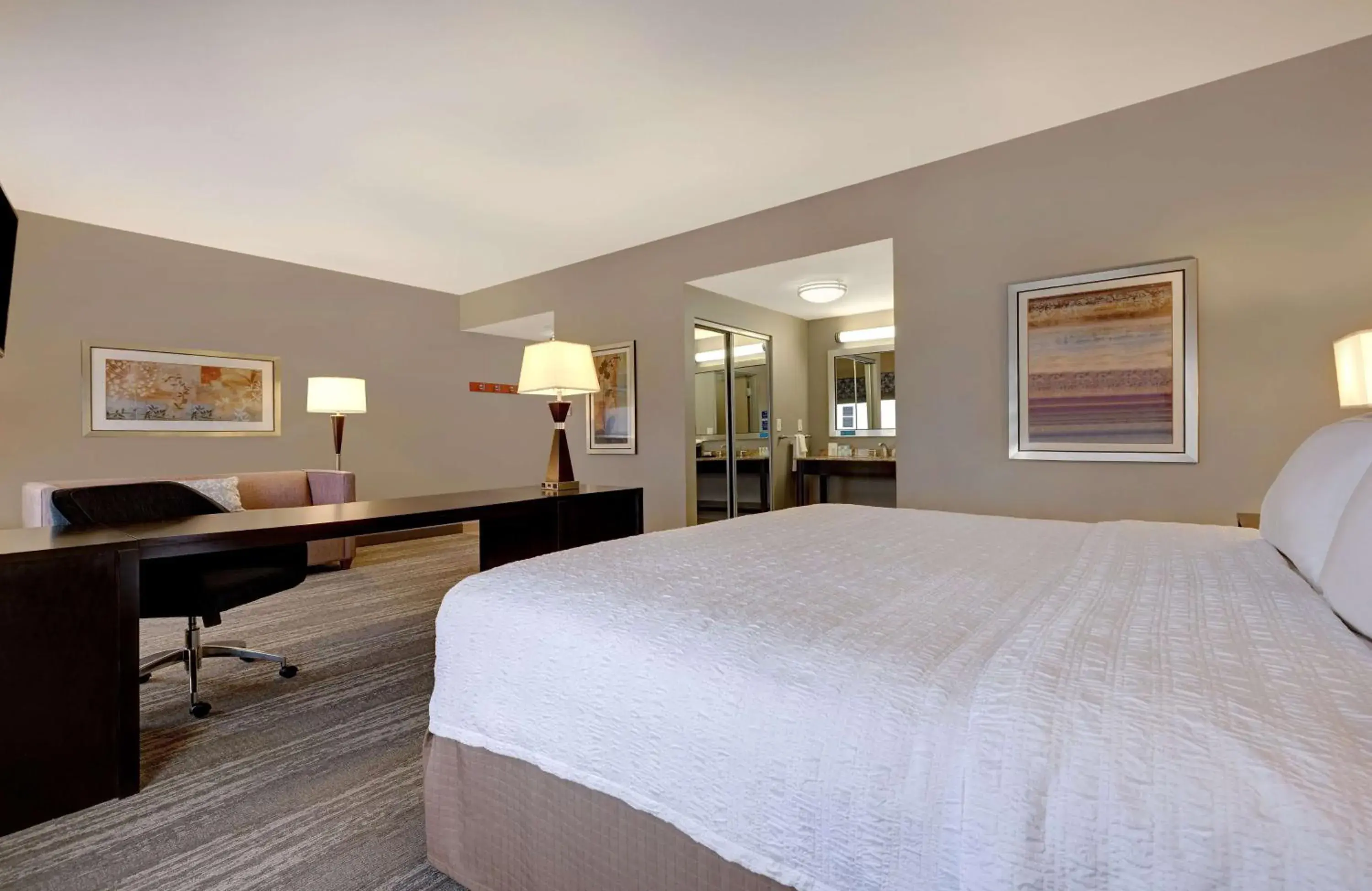 King Studio Suite - Non-Smoking in Hampton Inn & Suites Tampa Northwest/Oldsmar King Studio Suite - Non-Smoking in Hampton Inn & Suites Tampa Northwest/Oldsmar