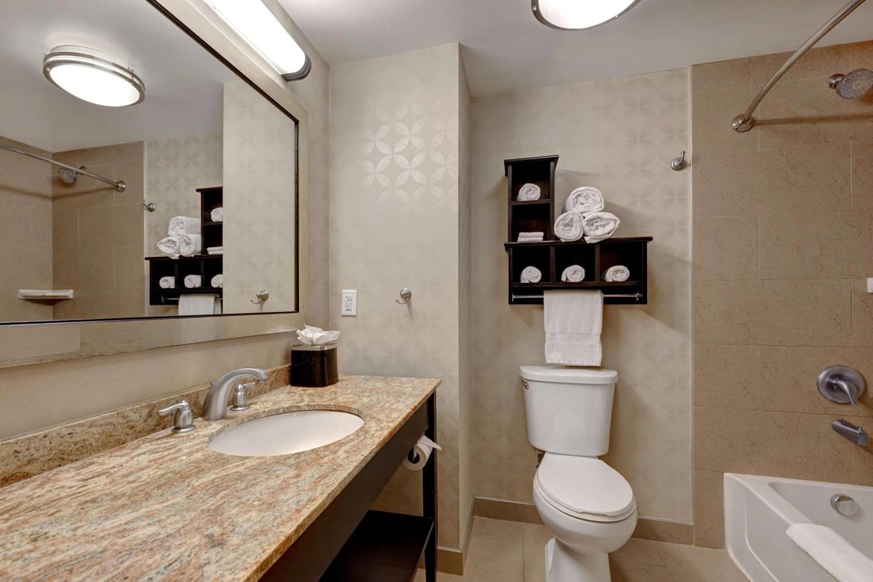 Bathroom in Hampton Inn & Suites Tampa Northwest/Oldsmar
