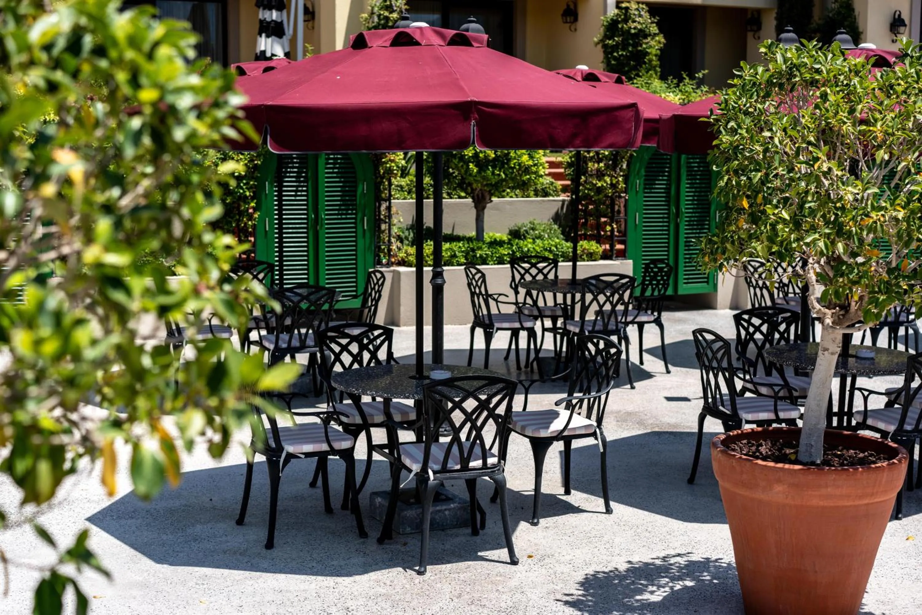 Balcony/Terrace in Casa Nonna Bodrum - Adult Only