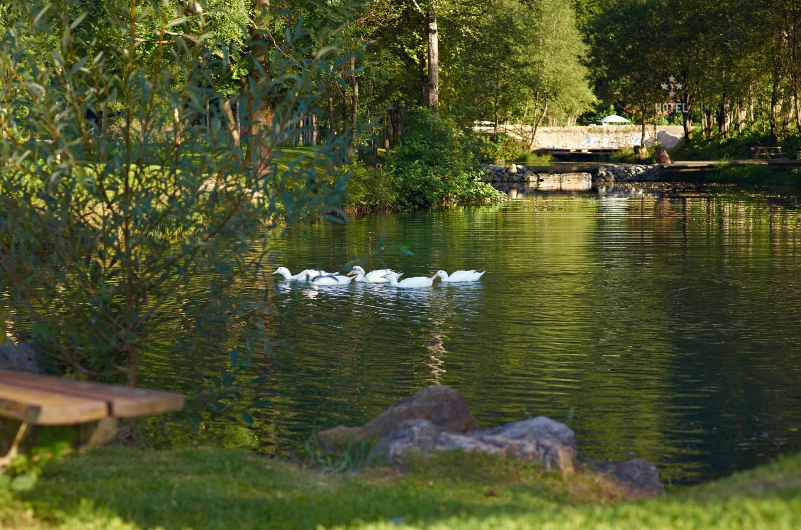 Garden in Hotel B&B "Zur Schanz"