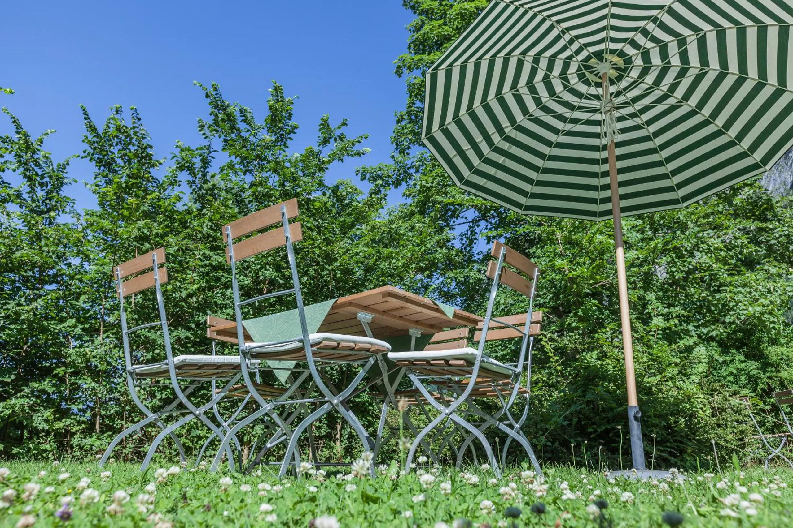 Garden view in Hotel B&B "Zur Schanz"