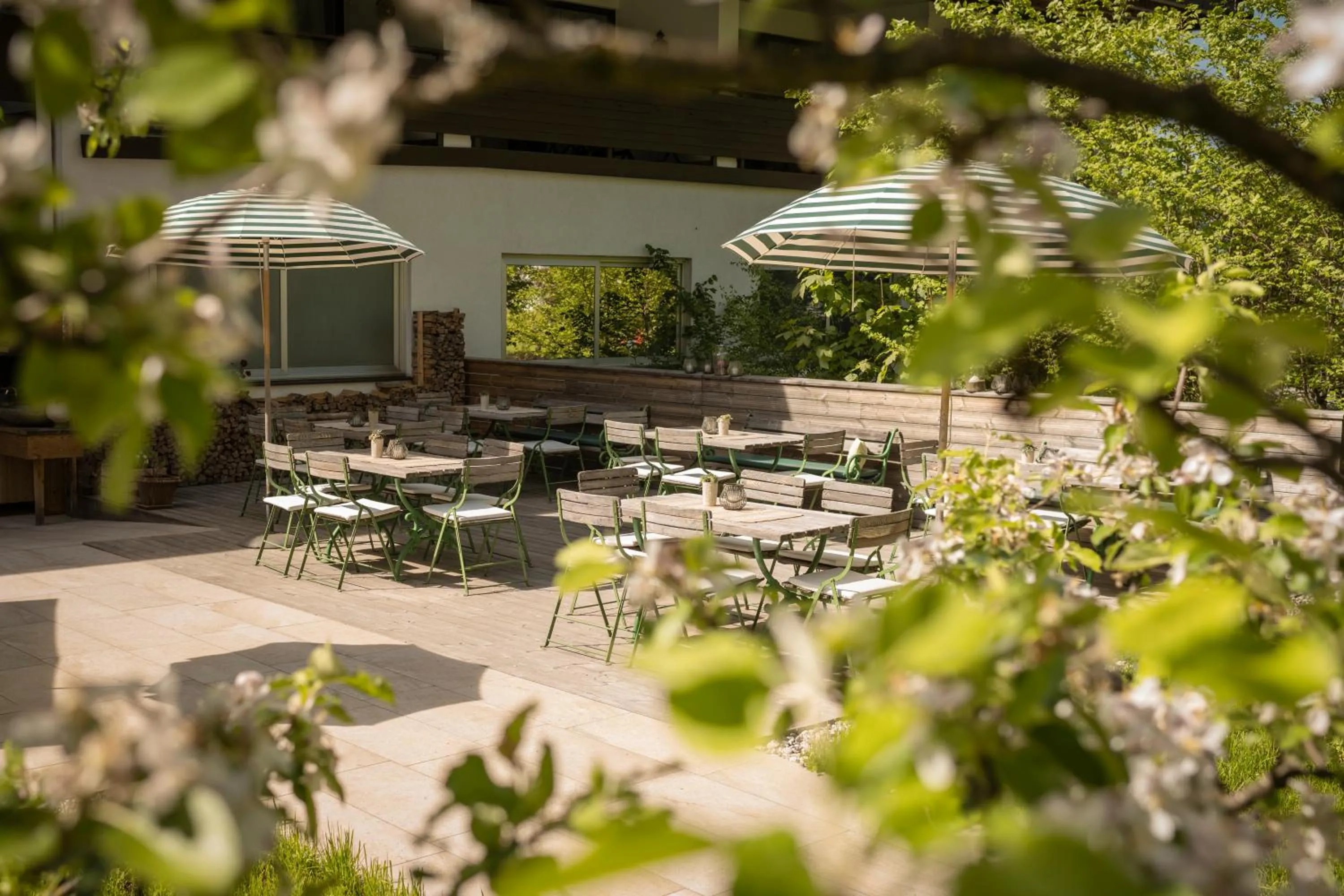 Restaurant/places to eat in Hotel B&B "Zur Schanz"